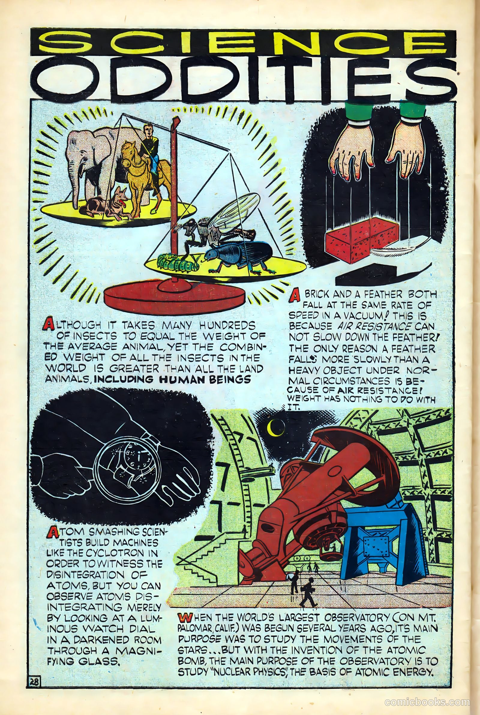 Science Comics #3 — page 30 of 36
