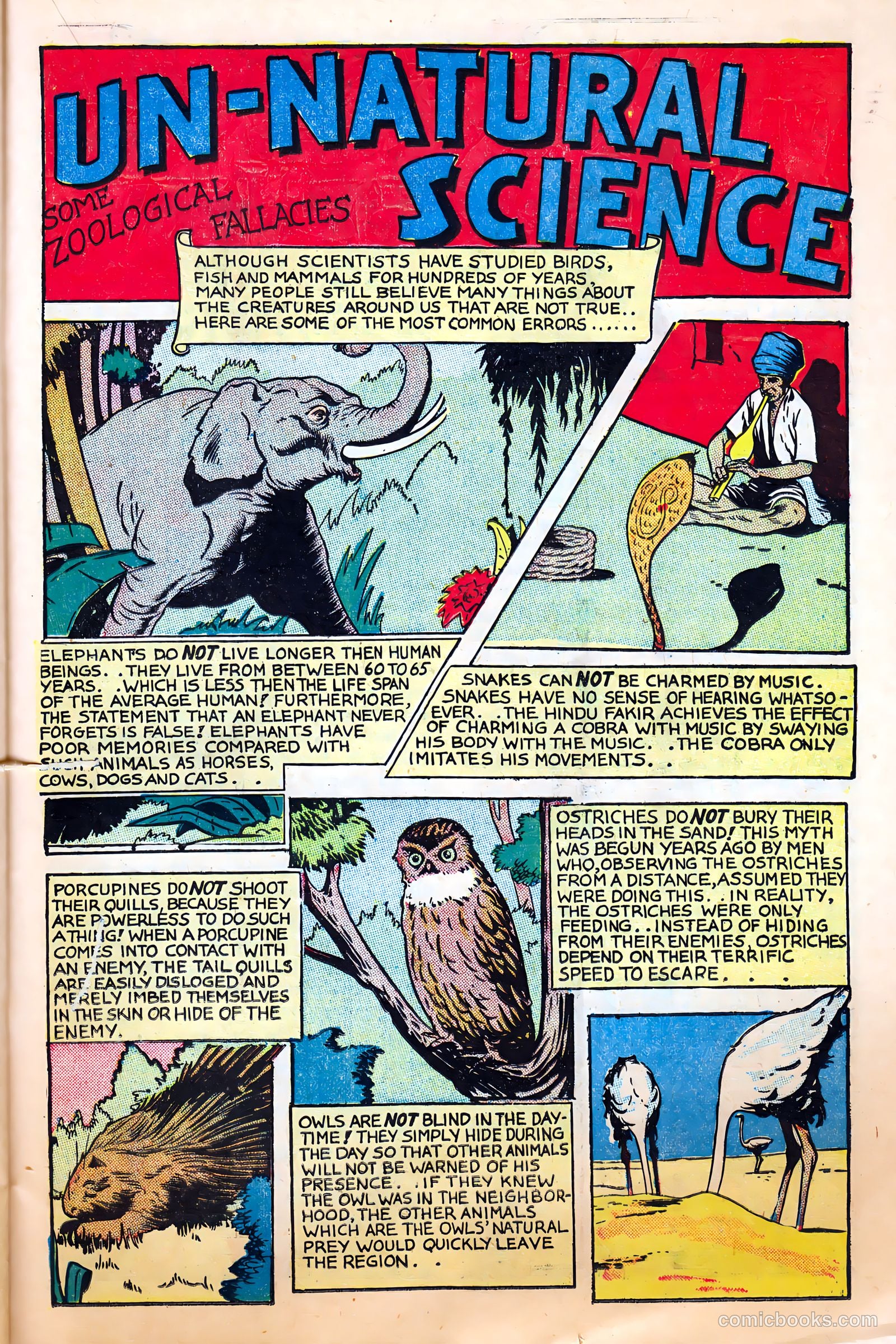 Science Comics #4 — page 23 of 36
