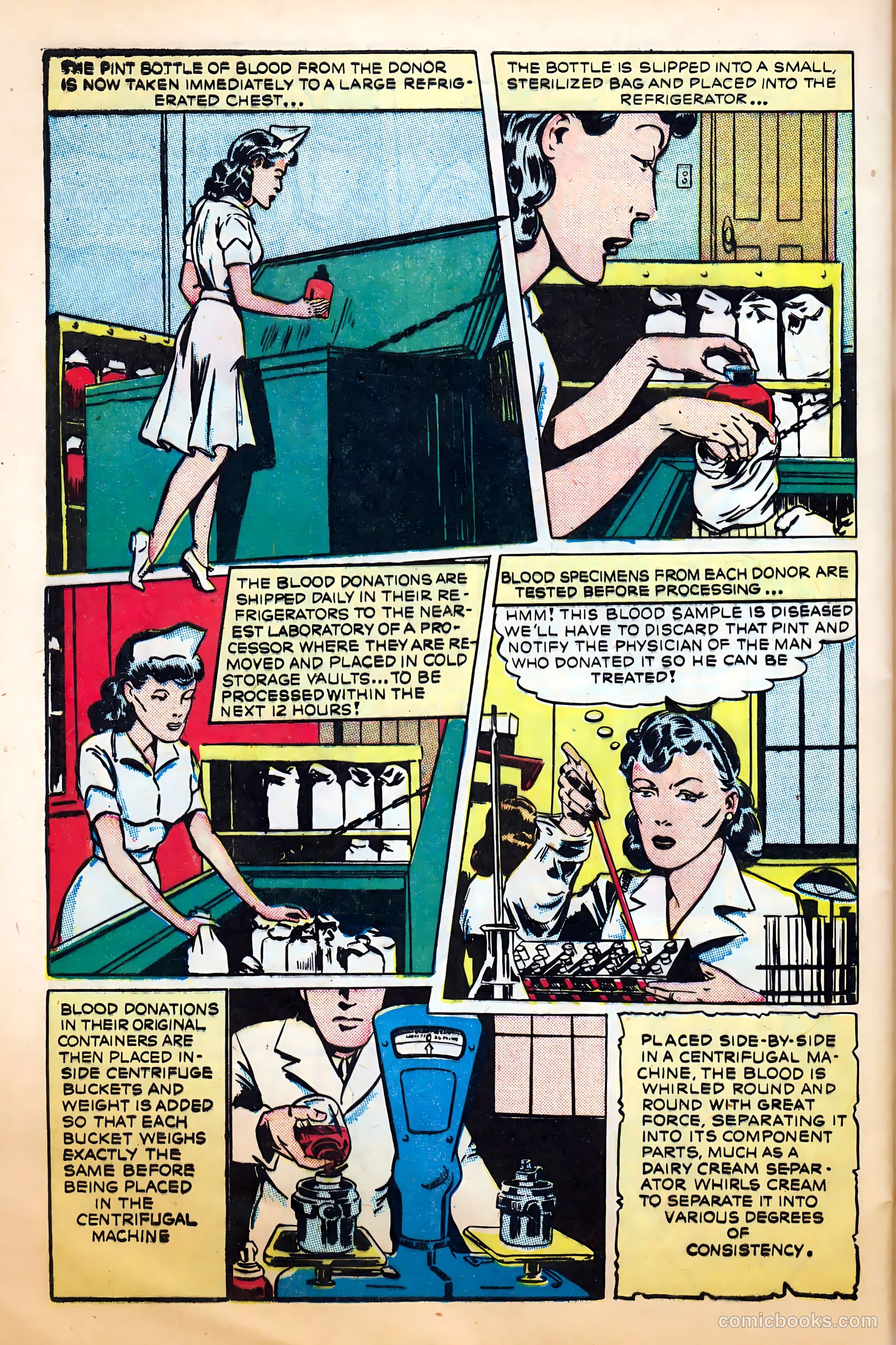 Science Comics #4 — page 28 of 36