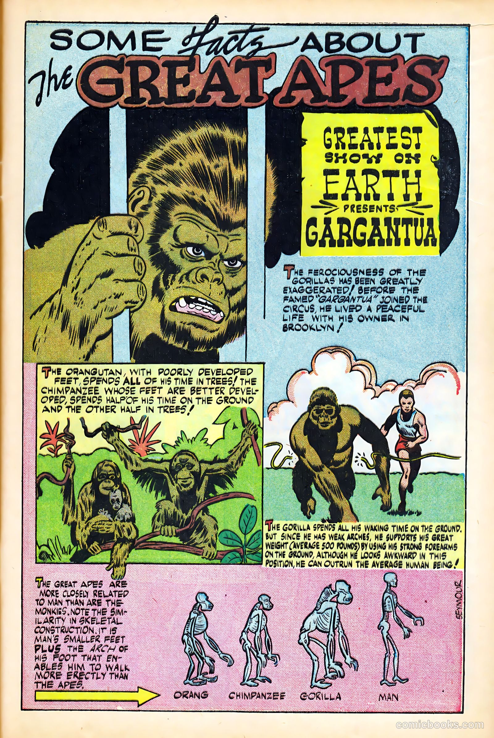 Science Comics #5 — page 13 of 52