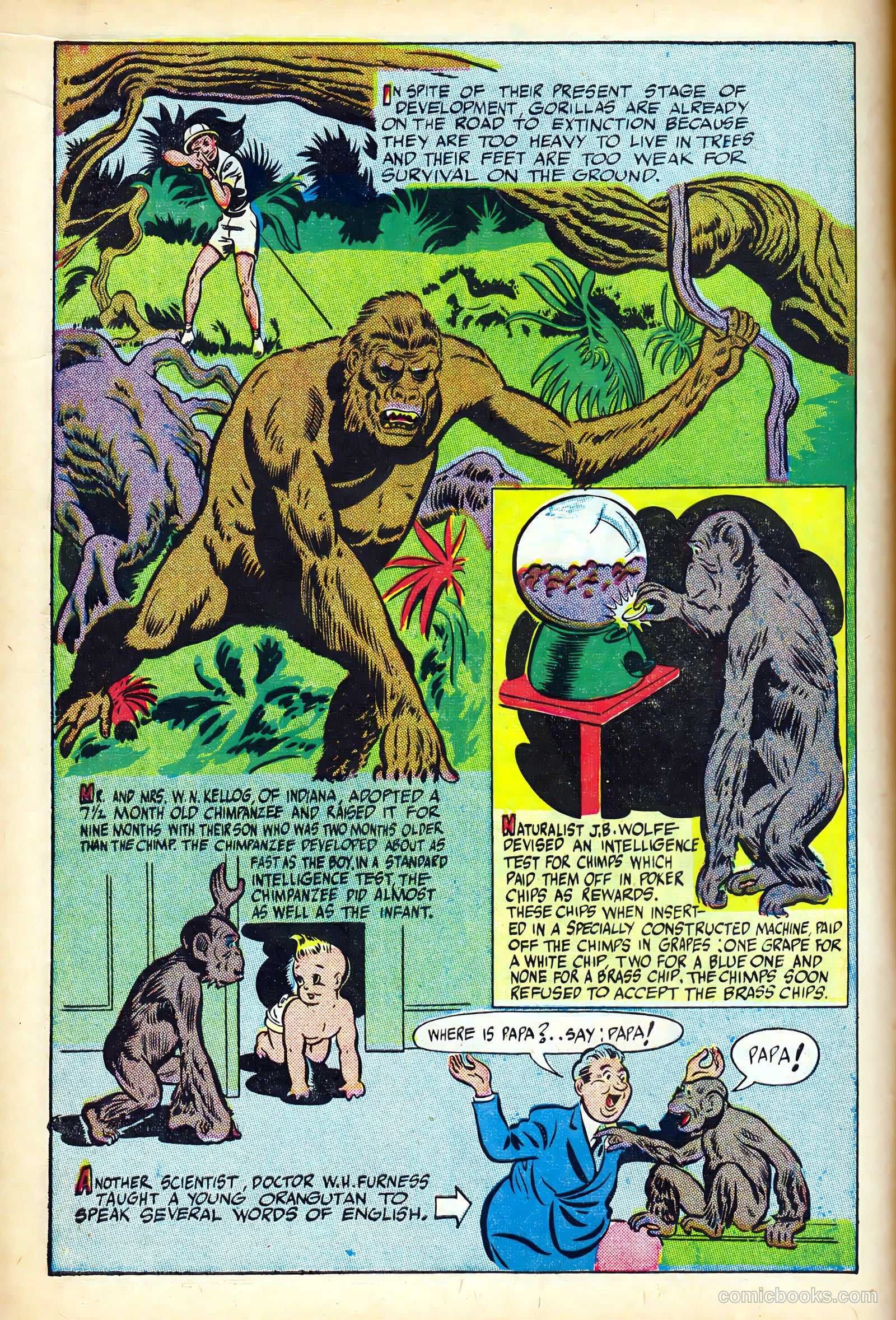 Science Comics #5 — page 14 of 52