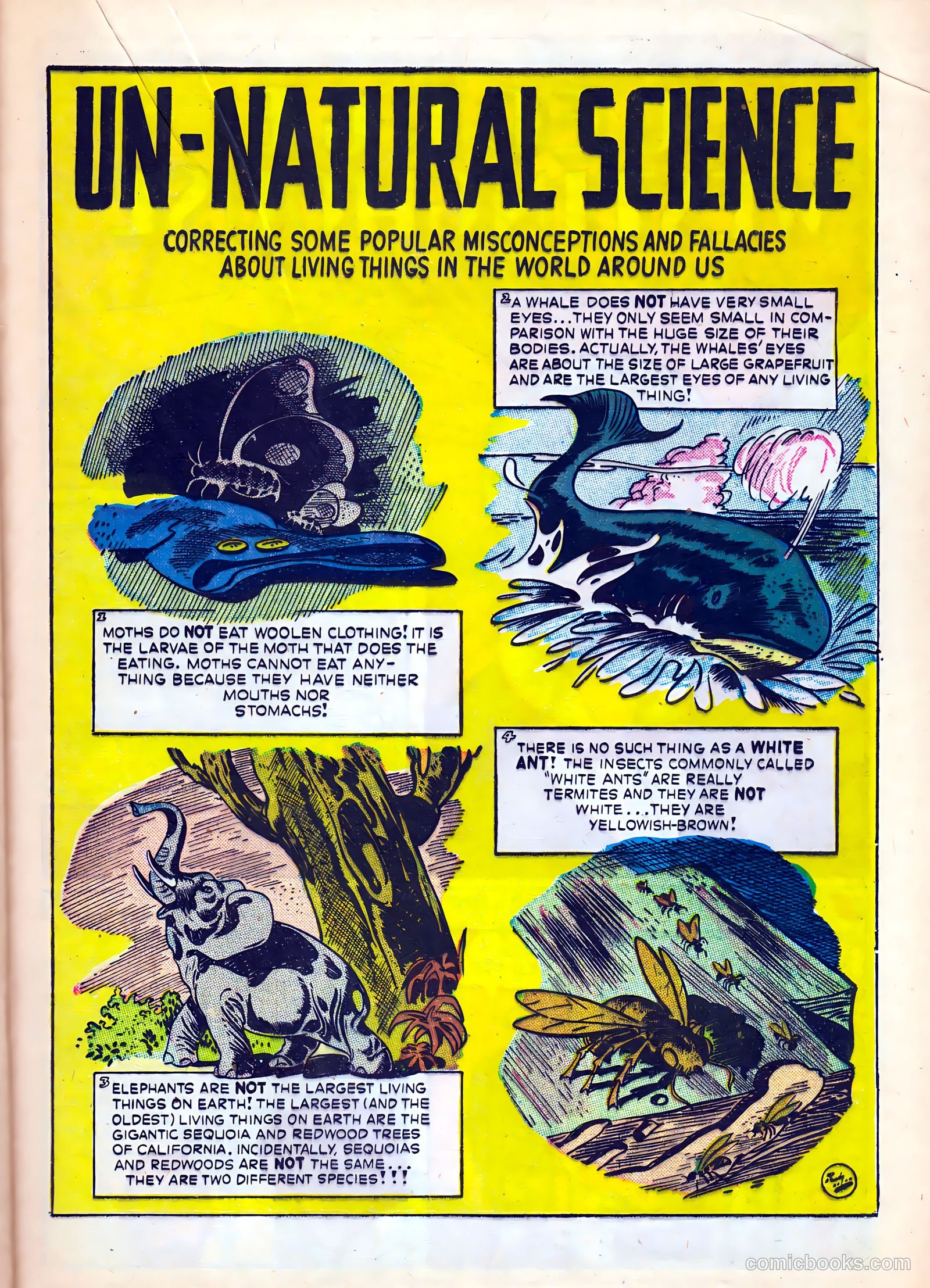 Science Comics #5 — page 33 of 52