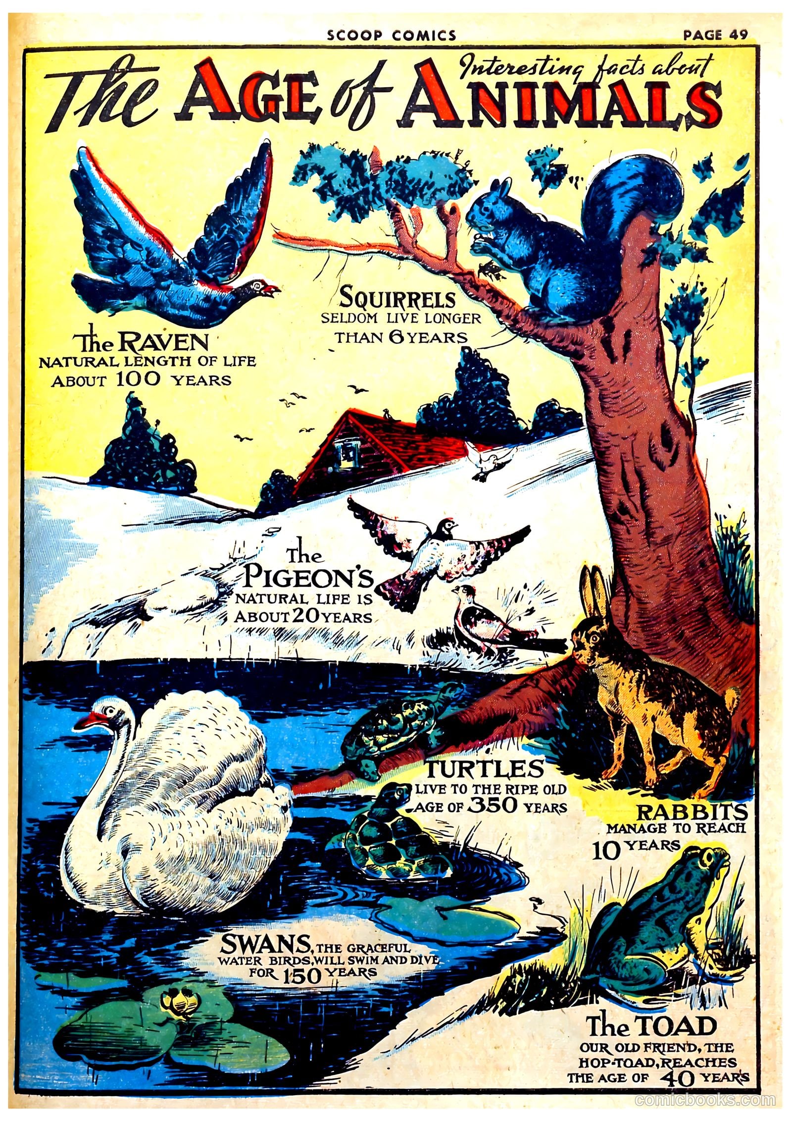 Scoop Comics #1 — page 51 of 68
