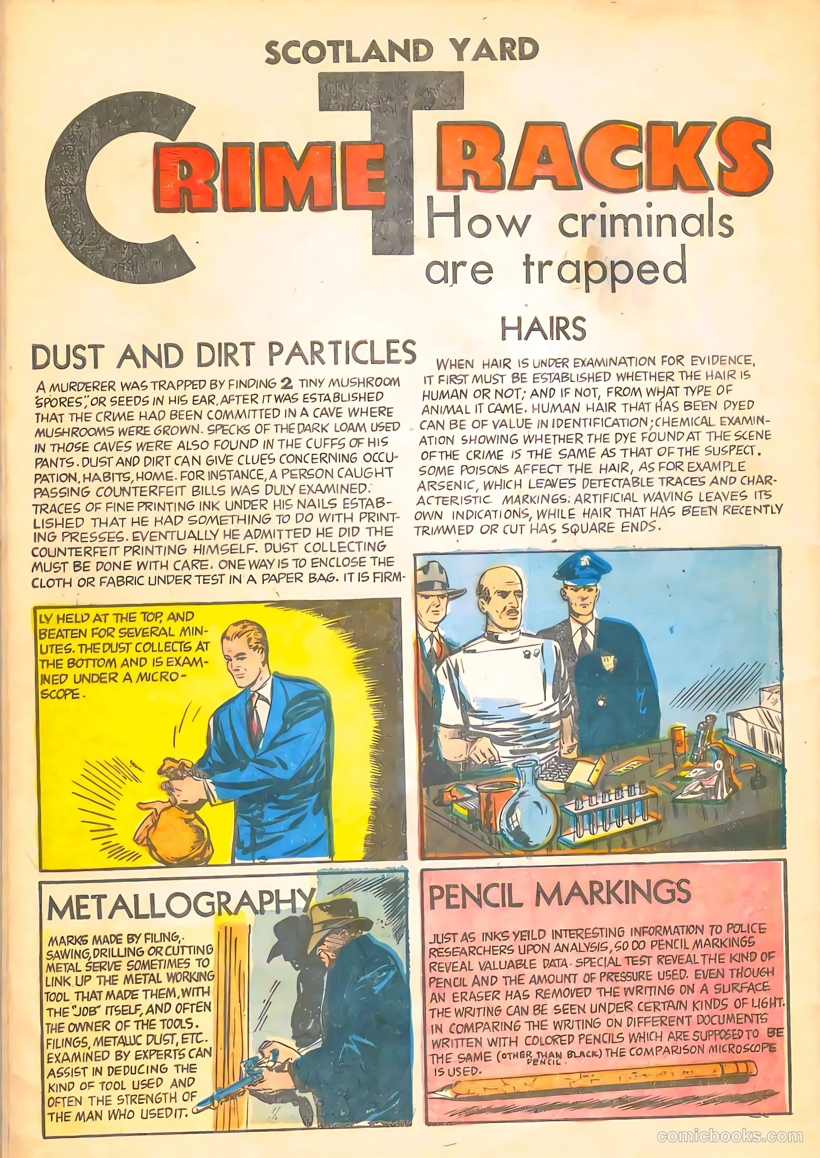 Scotland Yard #1 — page 32 of 36