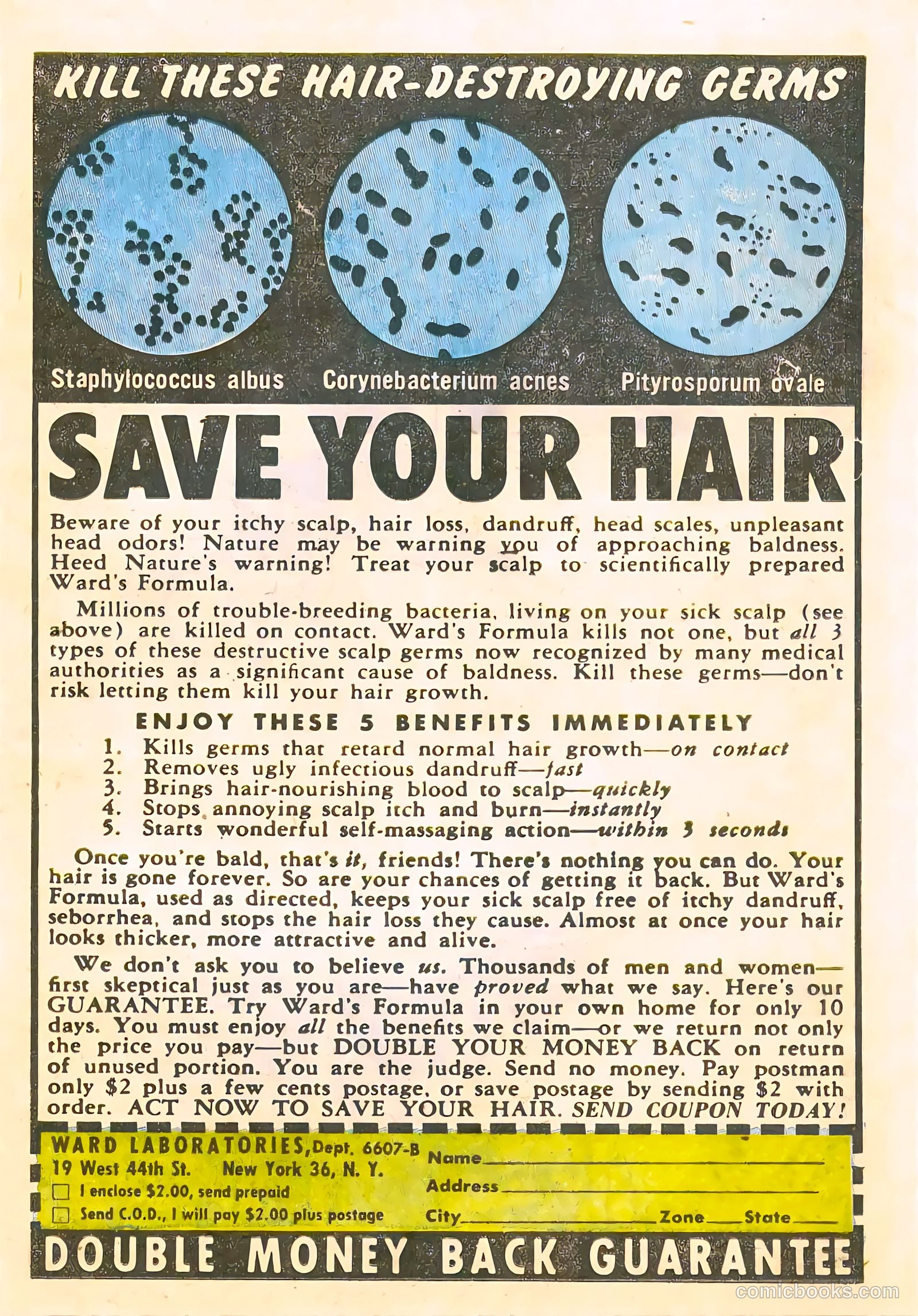 Scotland Yard #3 — page 15 of 36