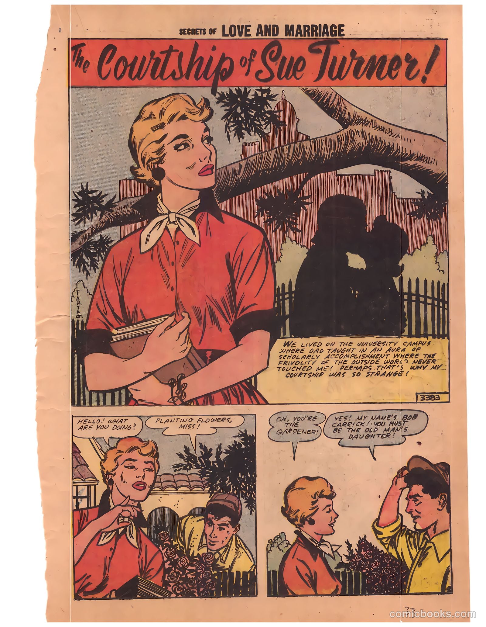 Secrets of Love and Marriage #8 — page 33 of 68