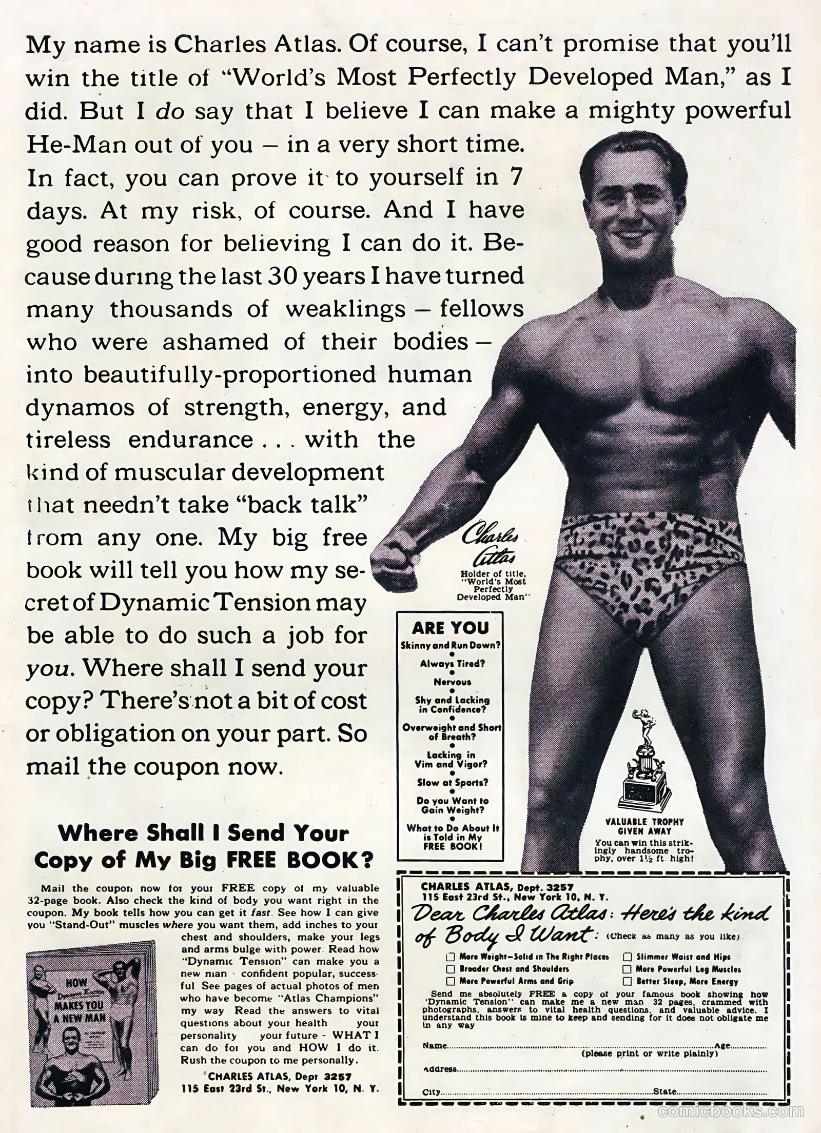 Secrets of Young Brides #11 — page 35 of 36