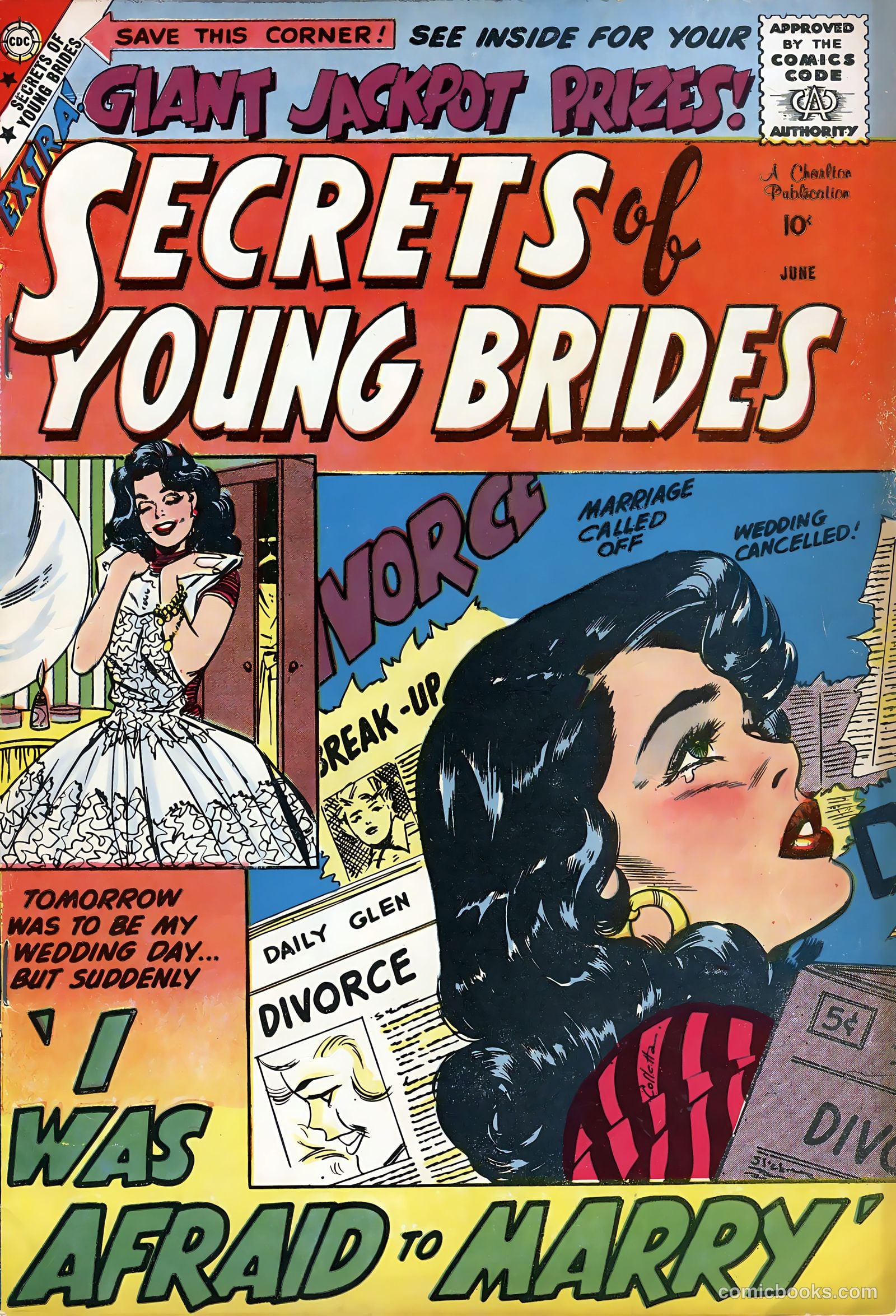 Secrets of Young Brides #14 — page 1 of 36