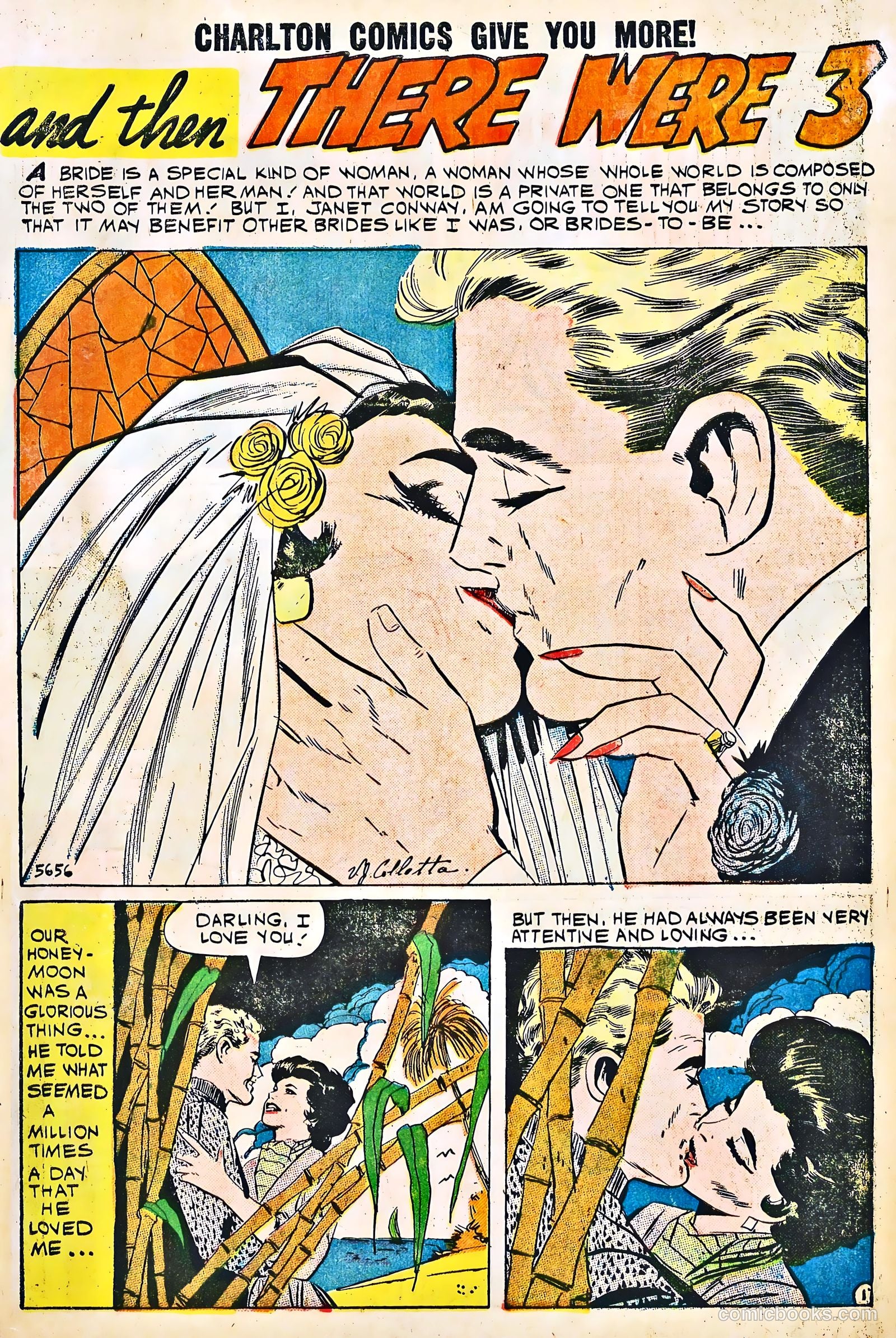 Secrets of Young Brides #17 — page 3 of 36