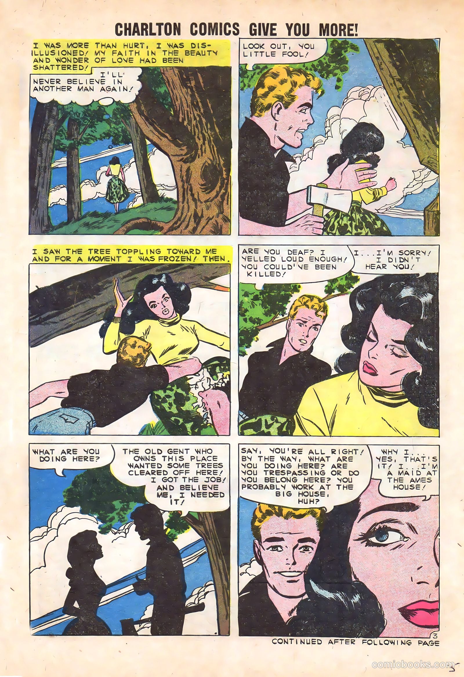 Secrets of Young Brides #19 — page 5 of 36