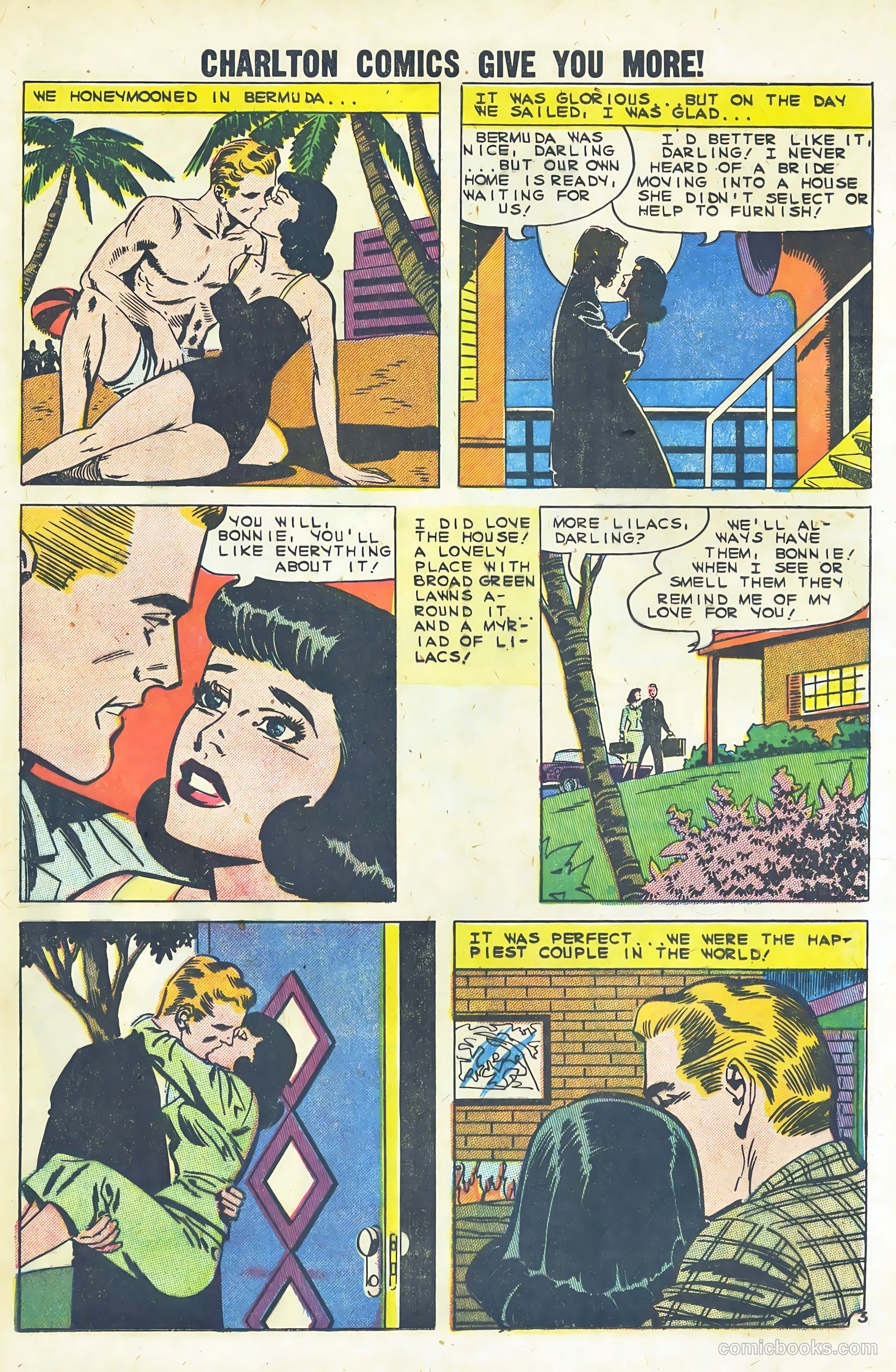 Secrets of Young Brides #21 — page 15 of 39