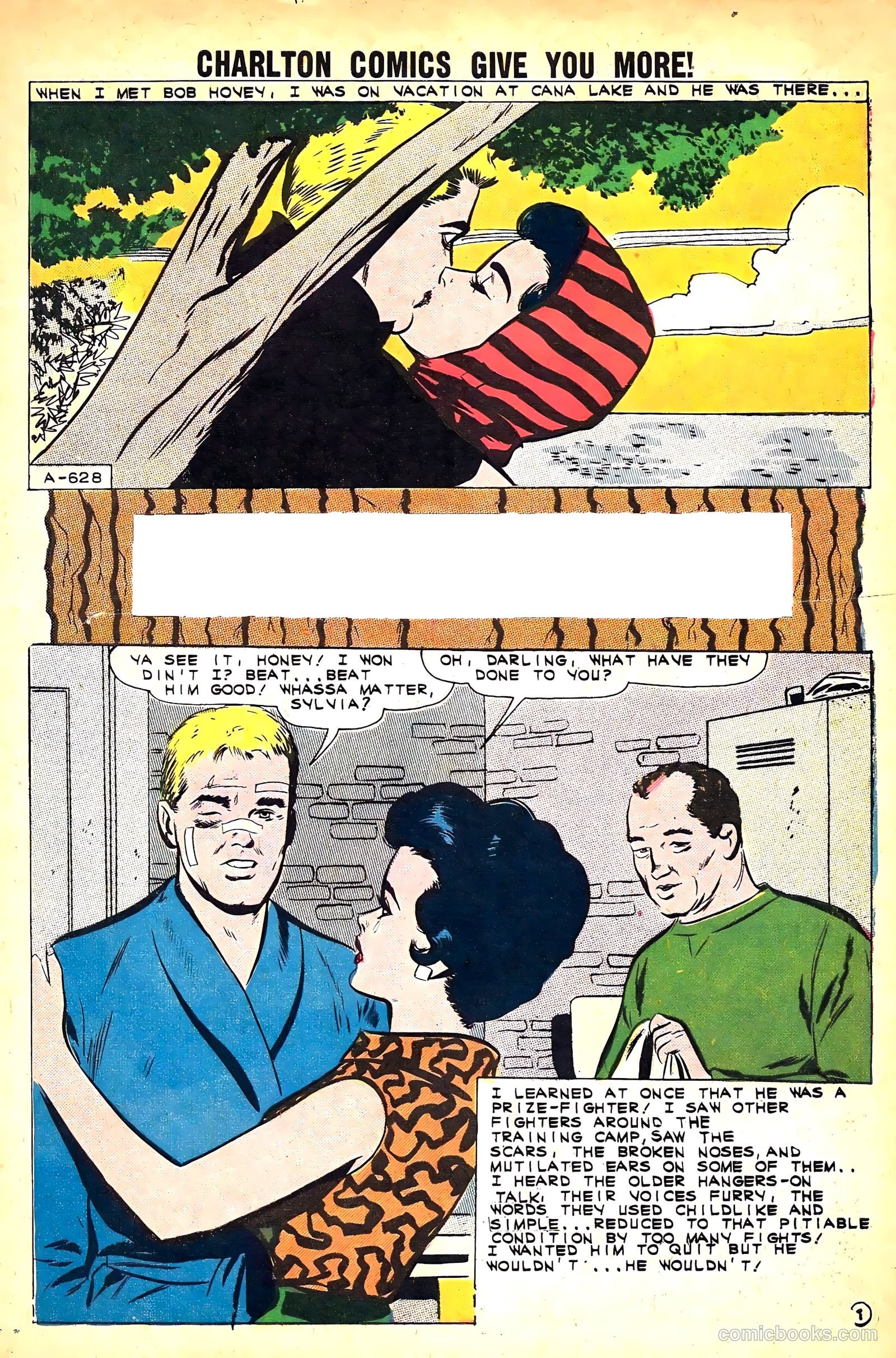 Secrets of Young Brides #27 — page 3 of 36