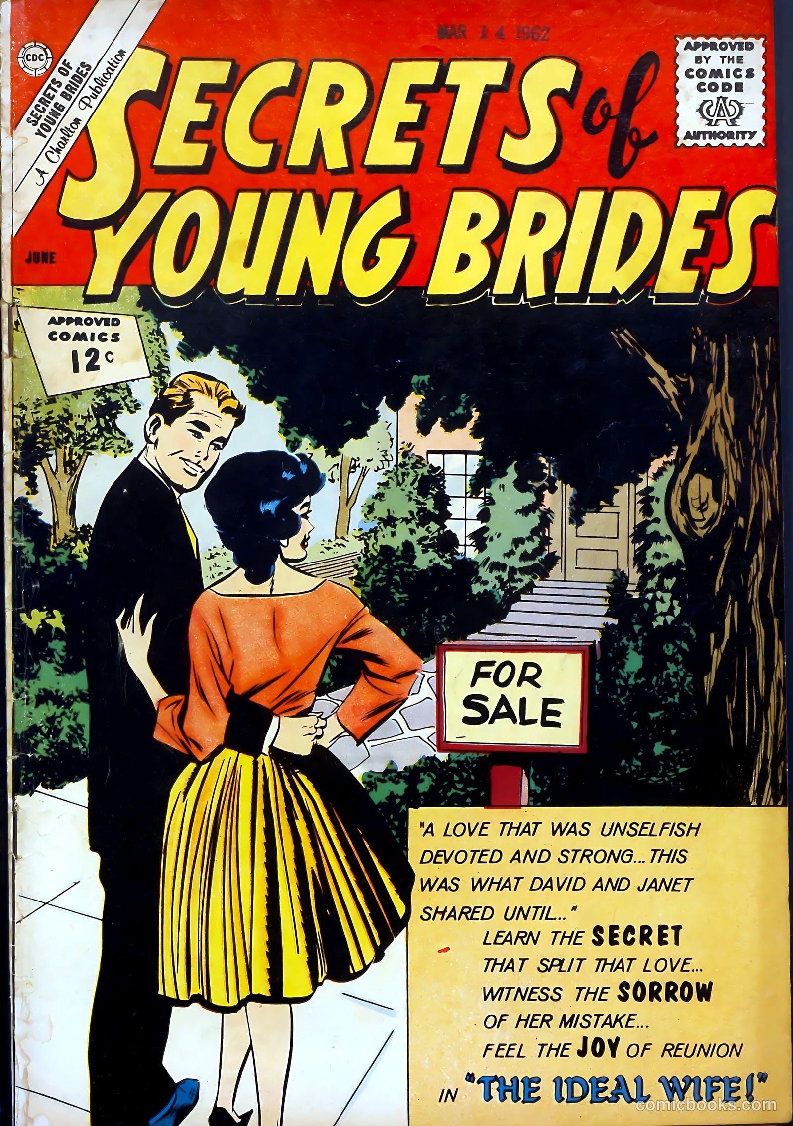 Secrets of Young Brides #31 — page 1 of 36