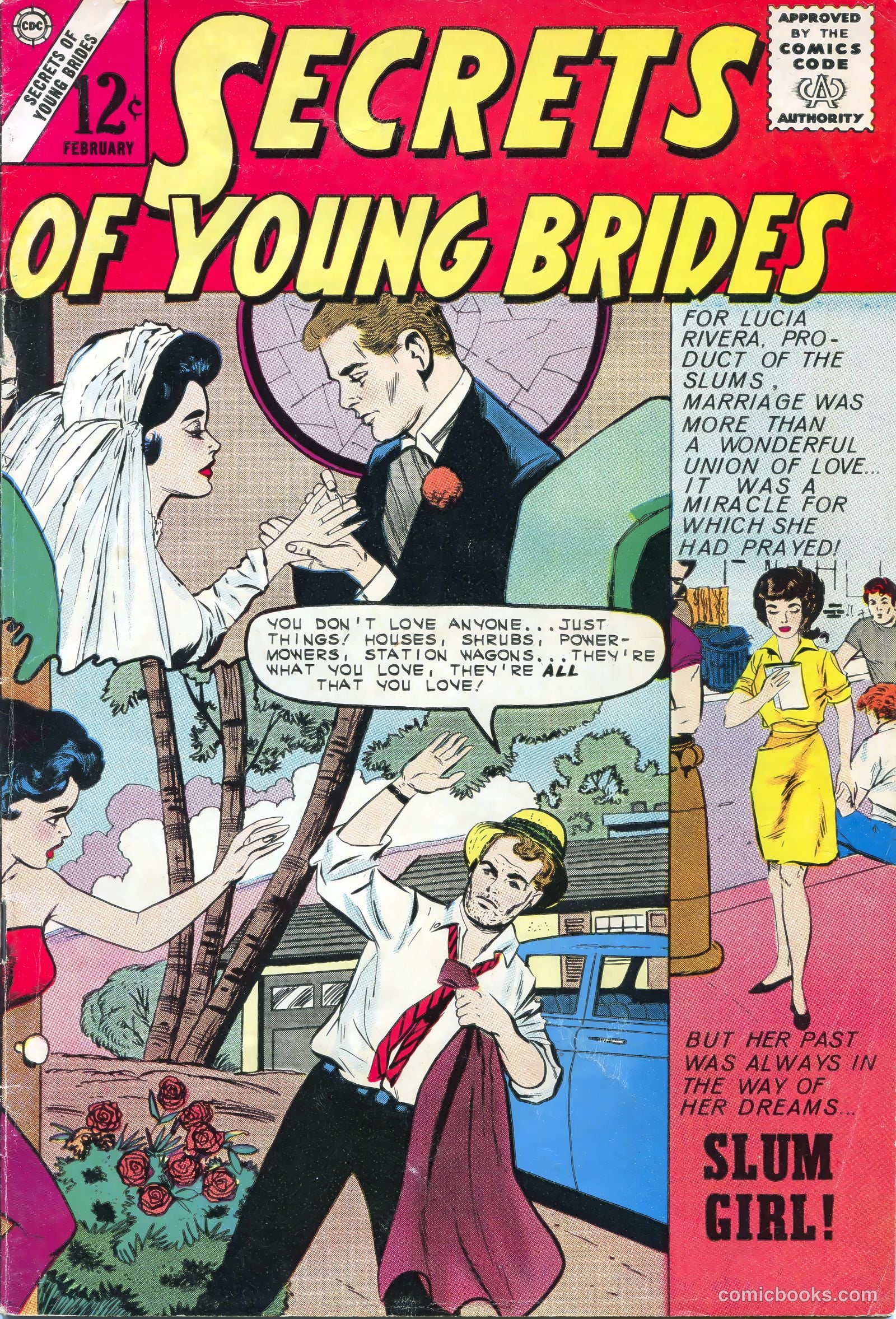 Secrets of Young Brides #35 — page 1 of 36