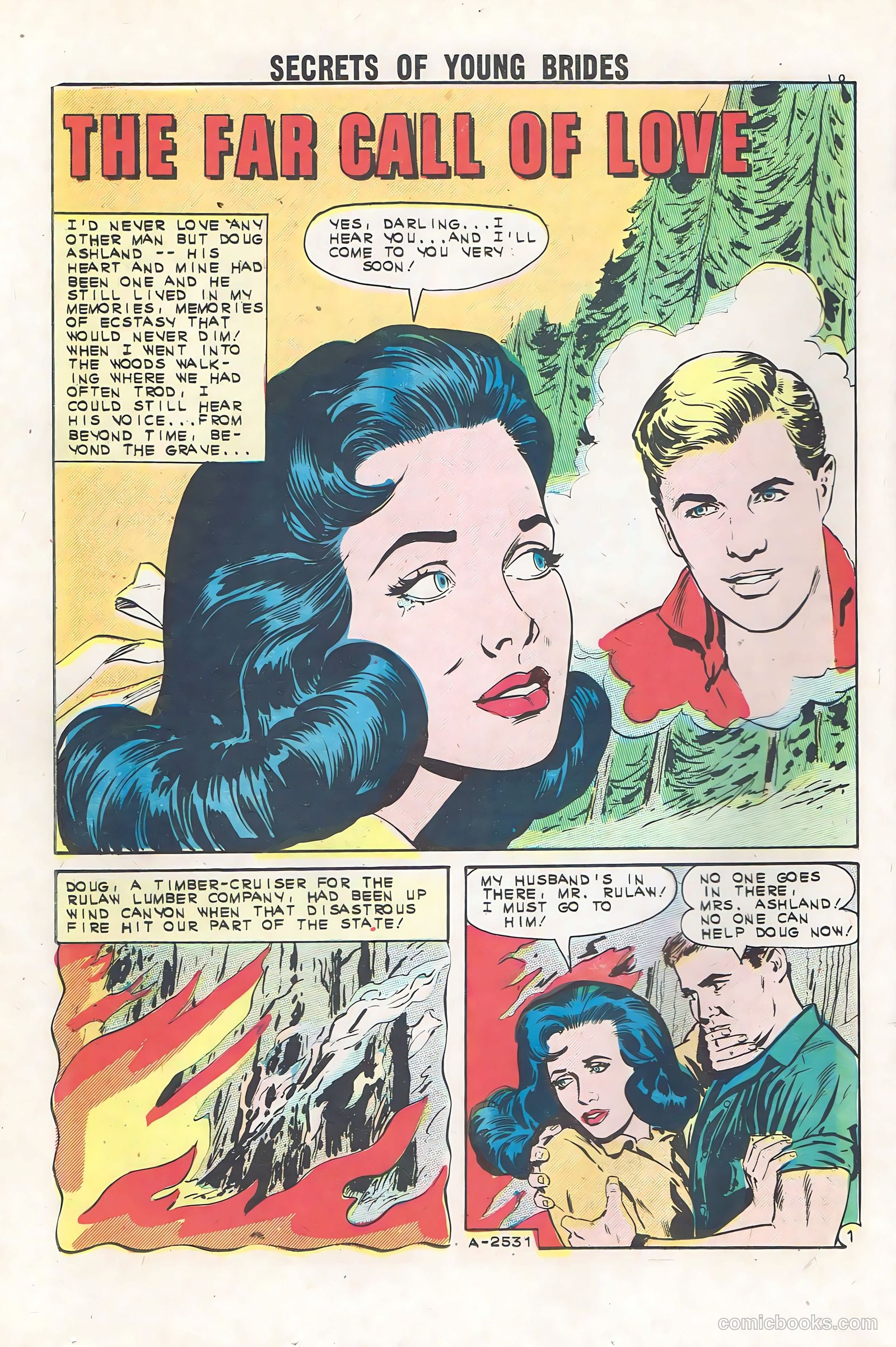 Secrets of Young Brides #36 — page 20 of 36