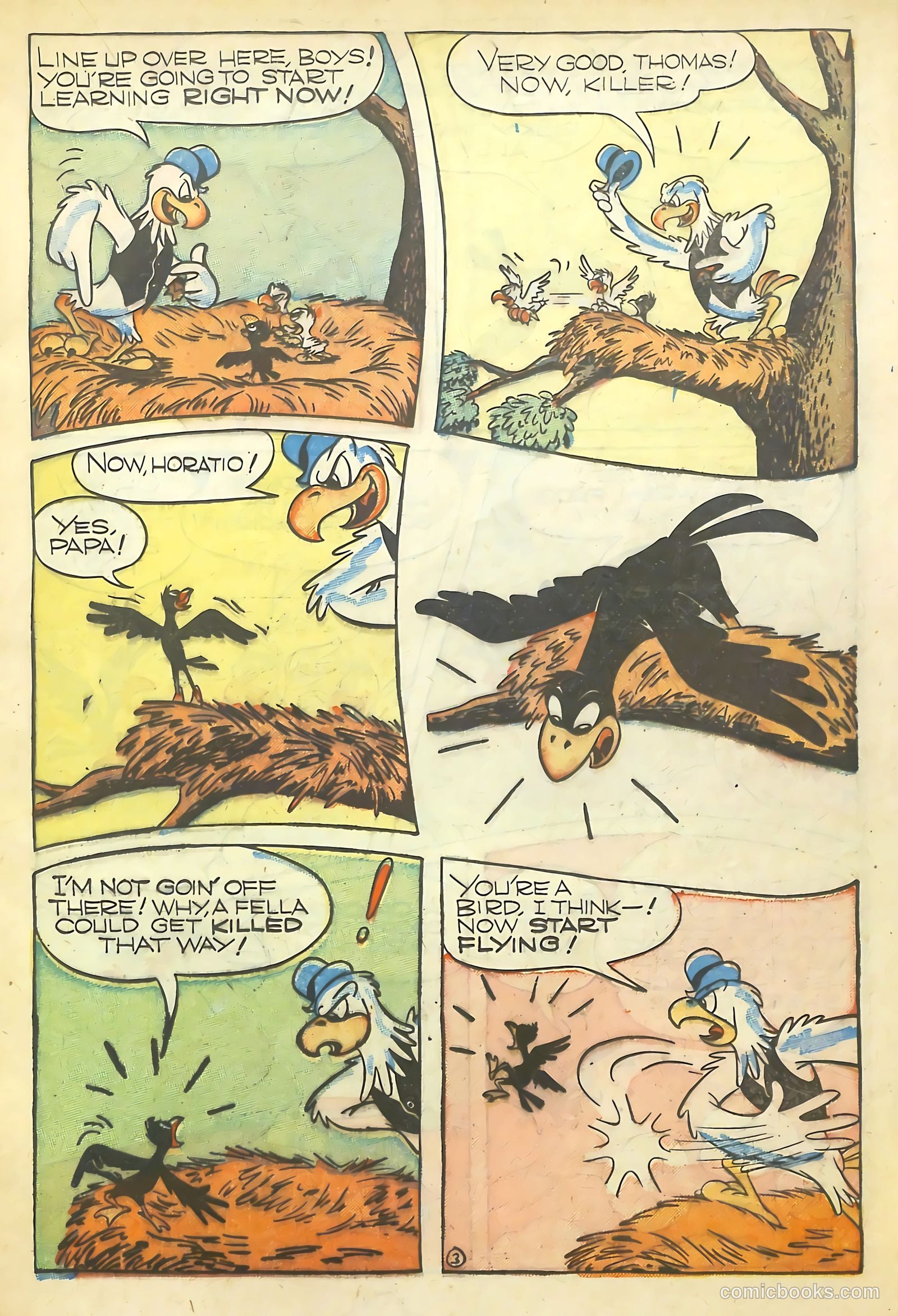 Barnyard Comics #11 — page 25 of 52