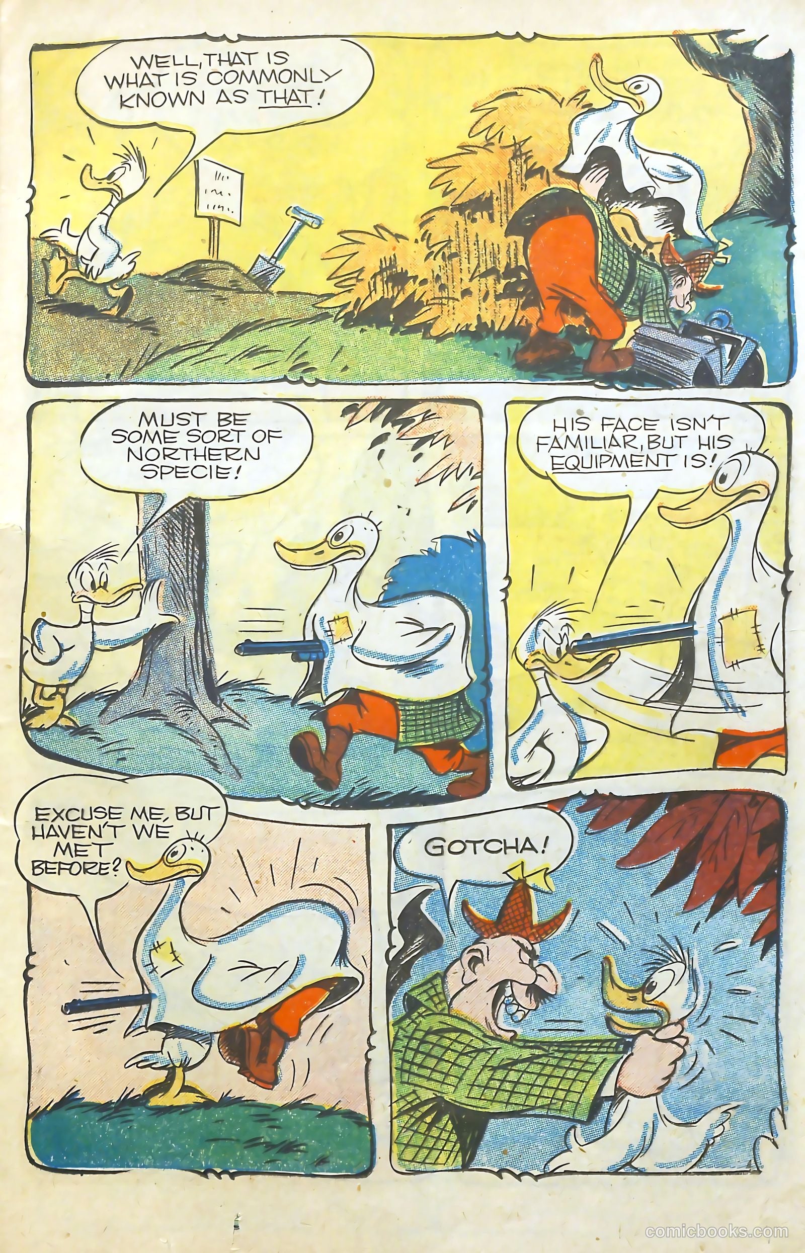 Barnyard Comics #12 — page 19 of 52