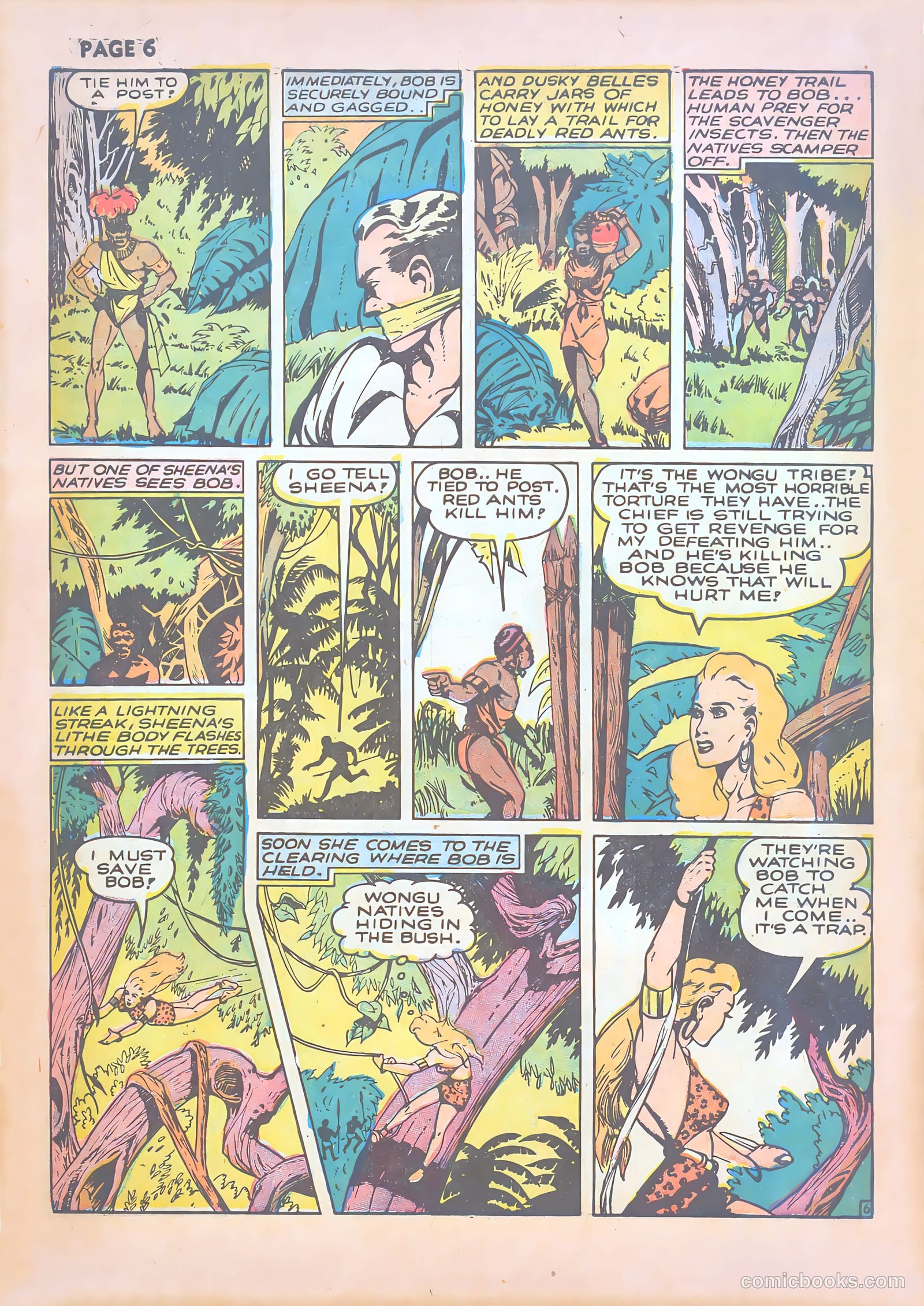 Sheena, Queen of the Jungle #1 — page 8 of 68