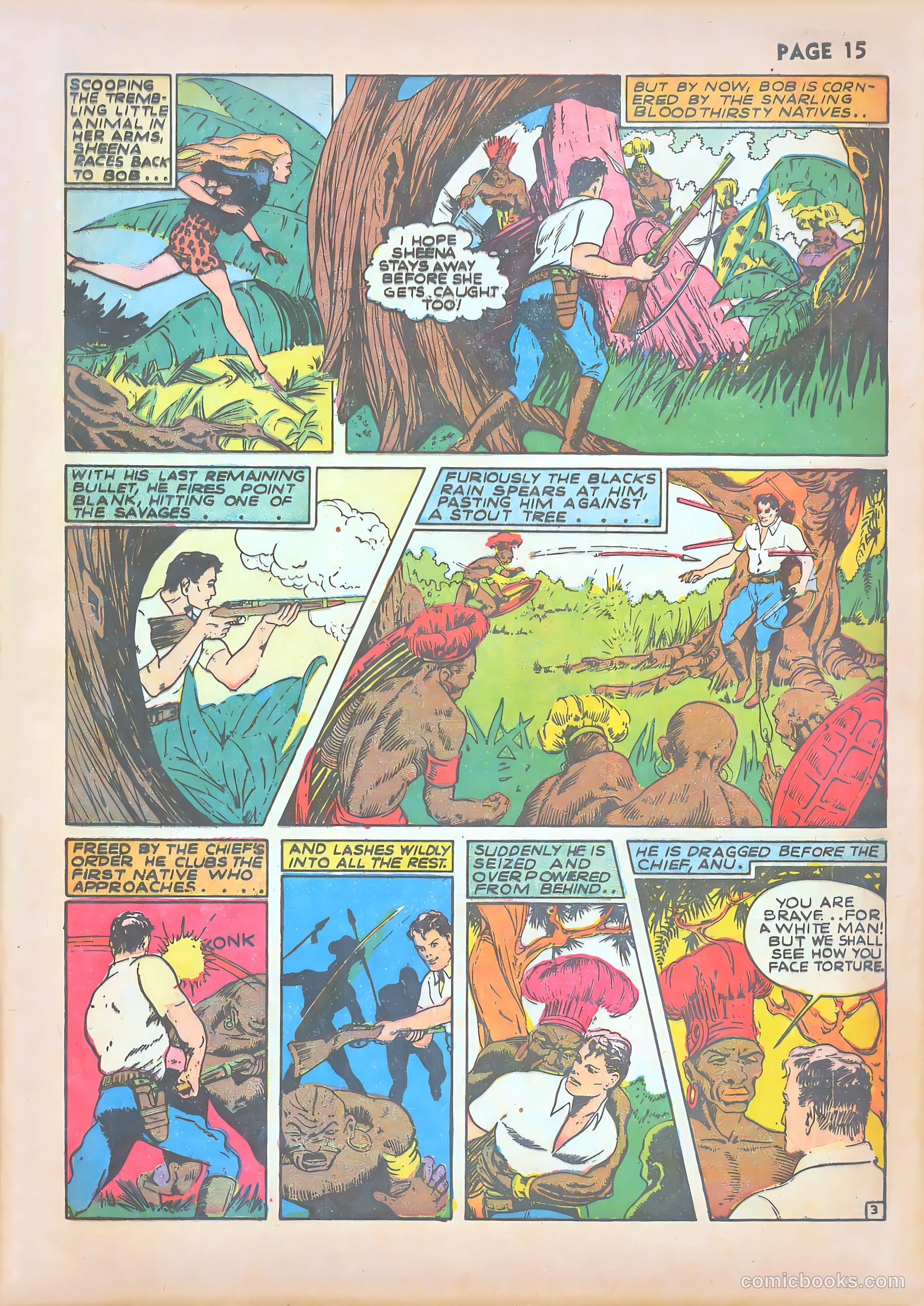 Sheena, Queen of the Jungle #1 — page 17 of 68