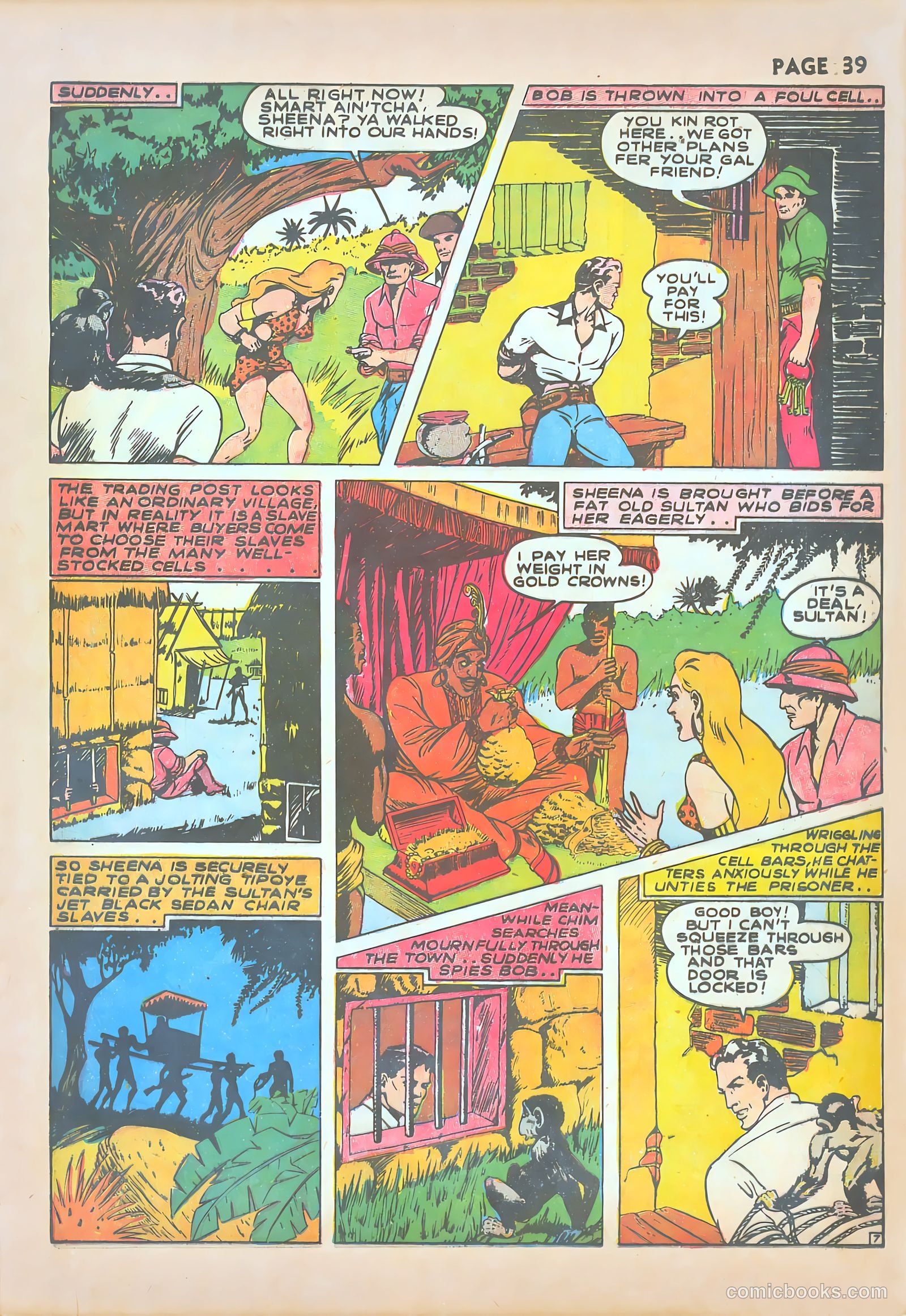 Sheena, Queen of the Jungle #1 — page 41 of 68