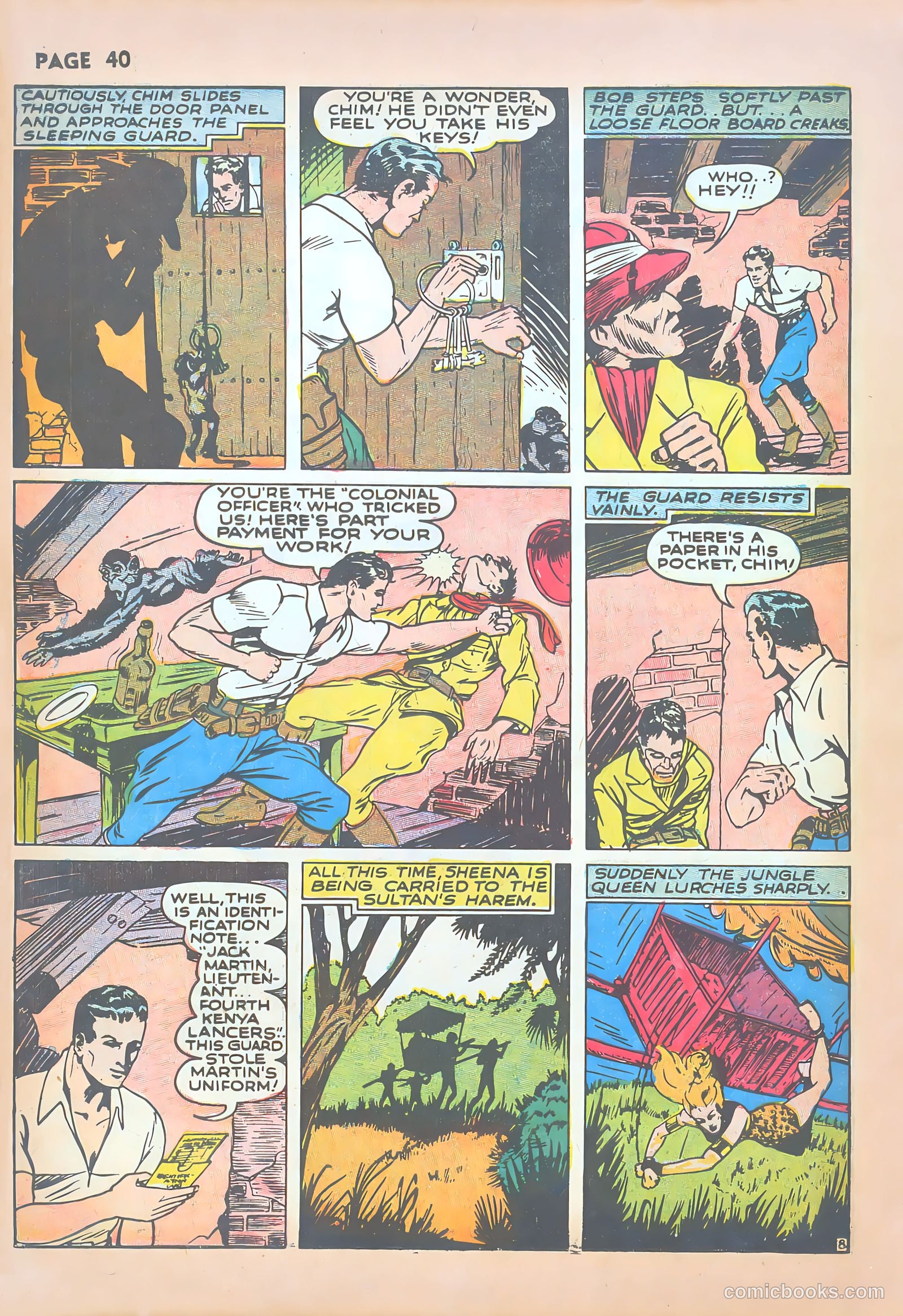 Sheena, Queen of the Jungle #1 — page 42 of 68