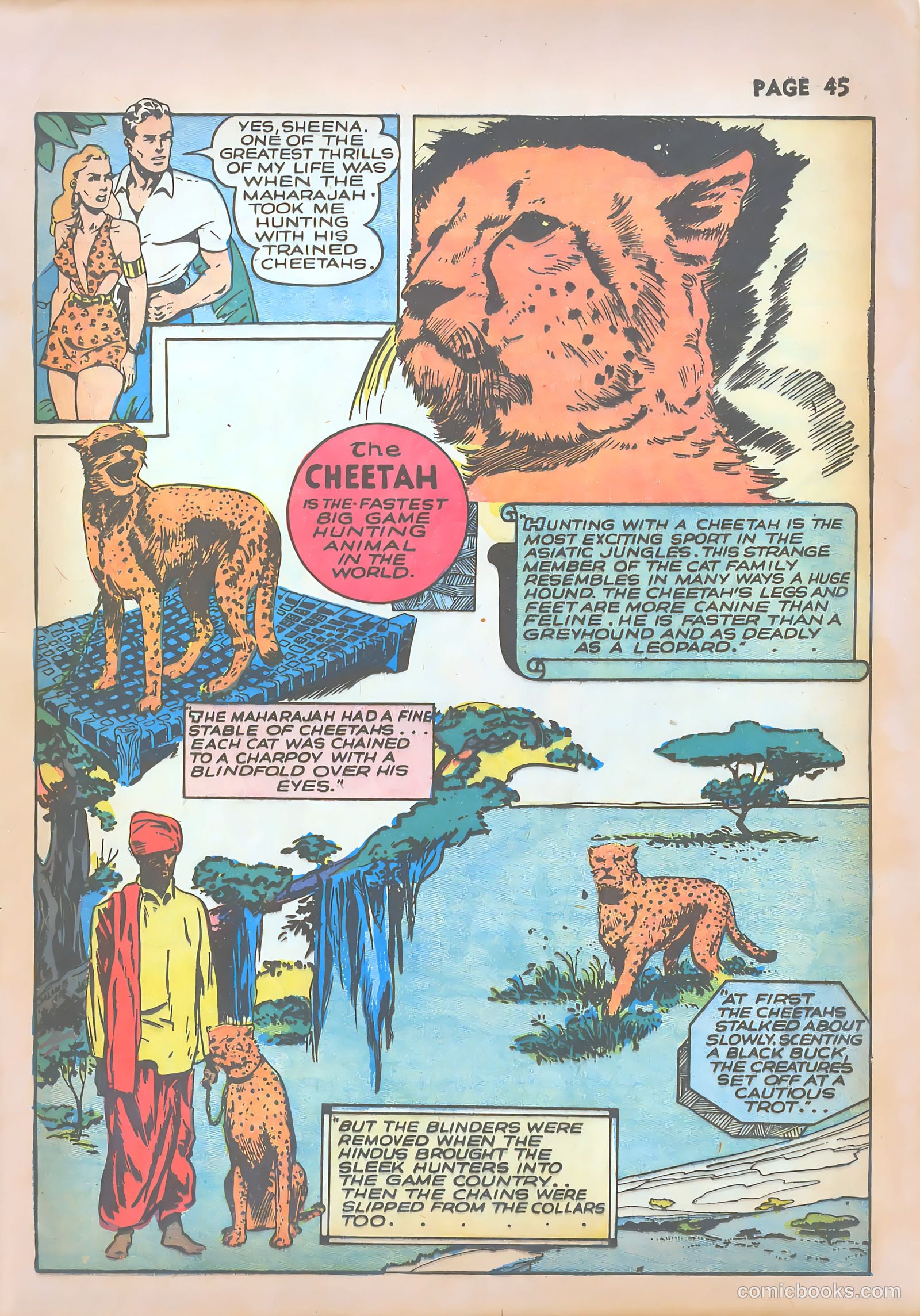 Sheena, Queen of the Jungle #1 — page 47 of 68