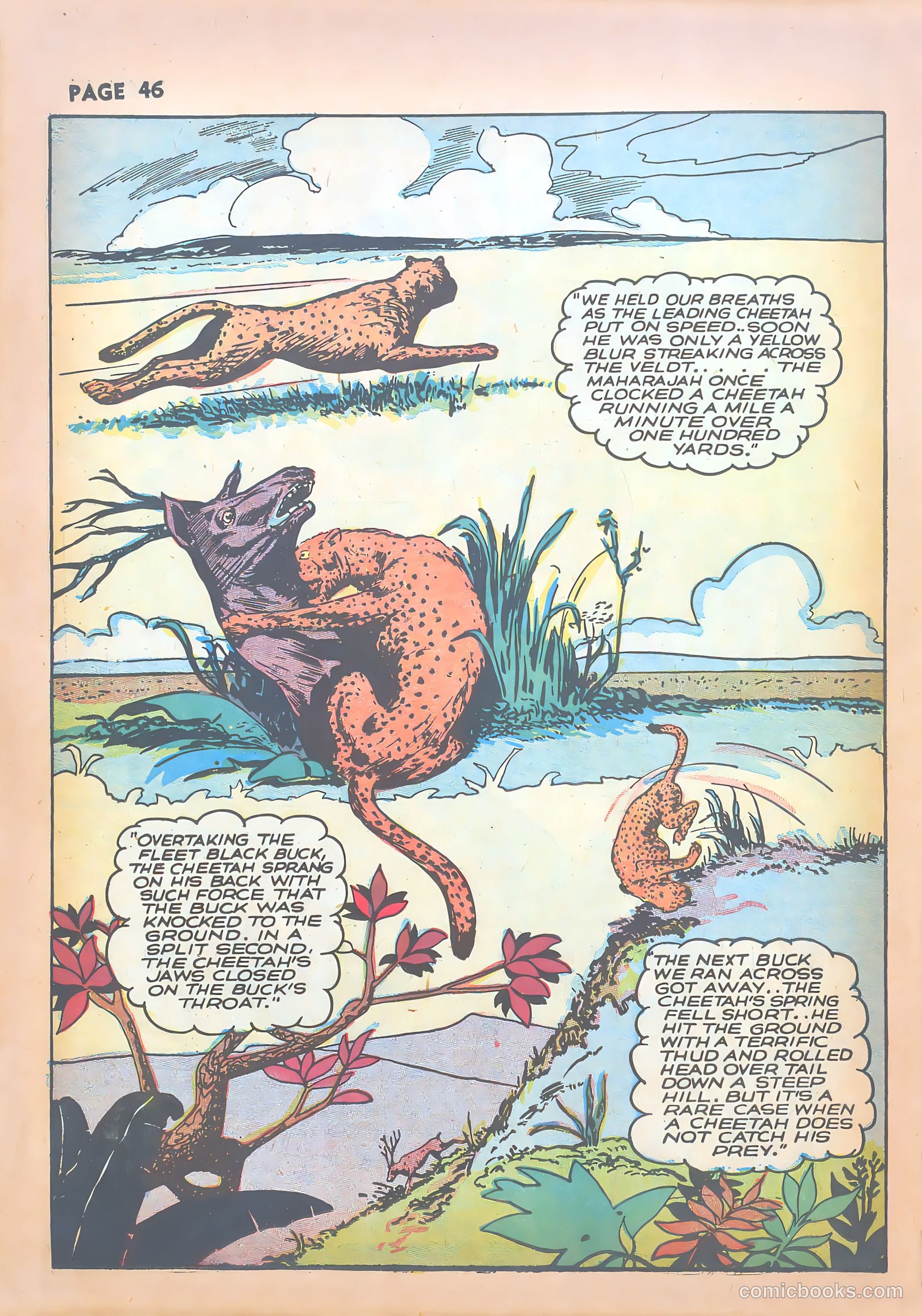 Sheena, Queen of the Jungle #1 — page 48 of 68