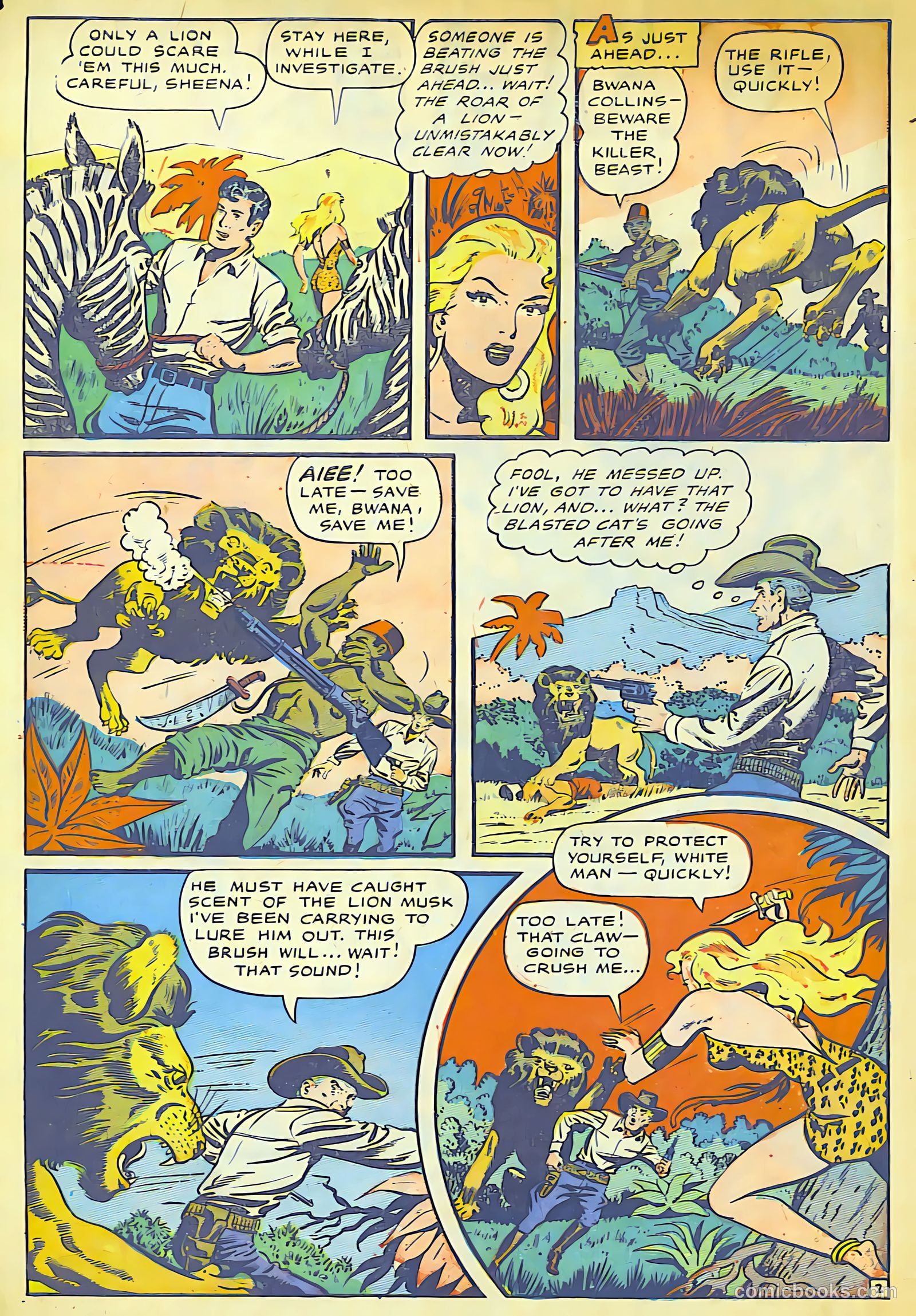 Sheena, Queen of the Jungle #10 — page 5 of 37