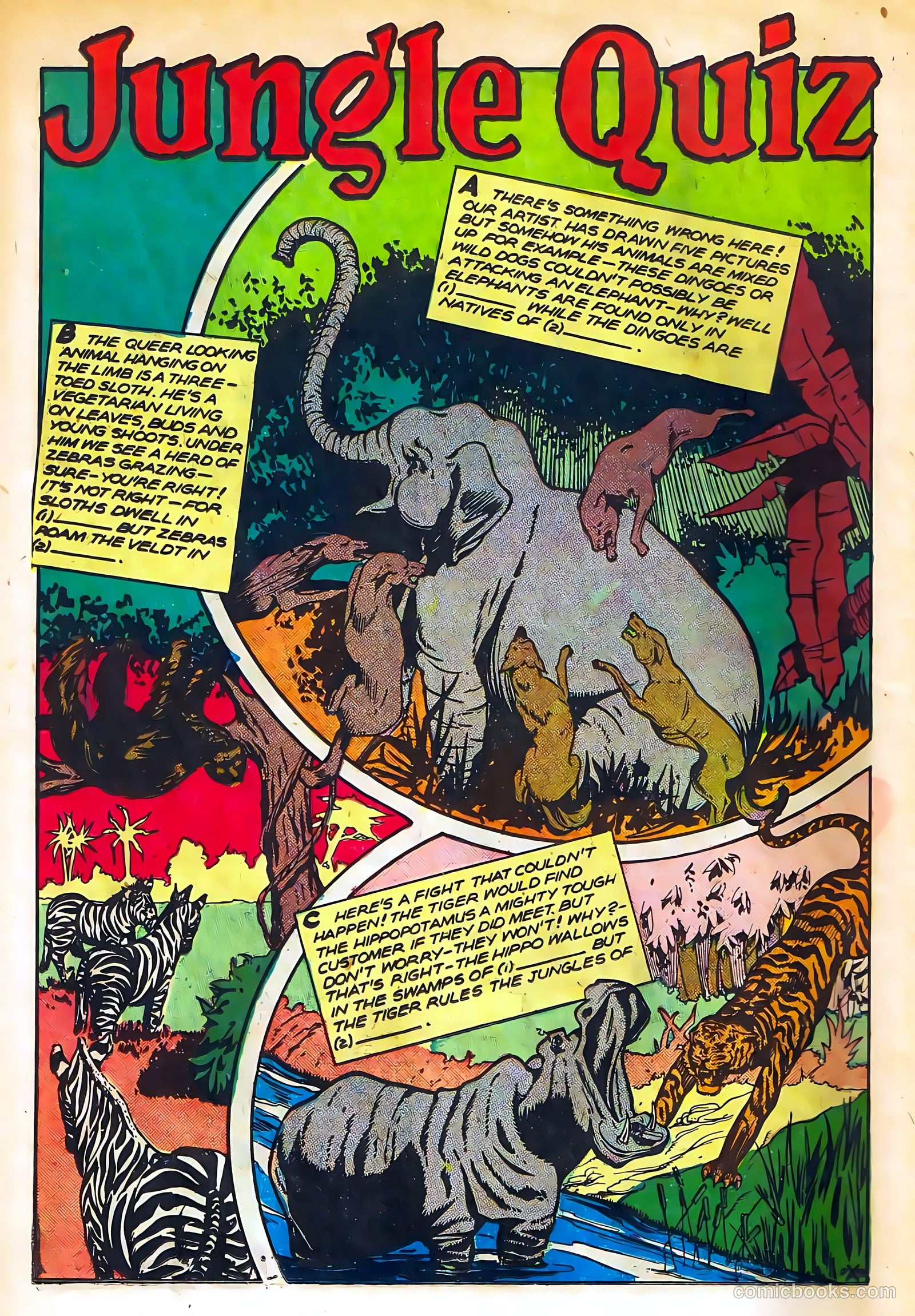 Sheena, Queen of the Jungle #11 — page 14 of 36