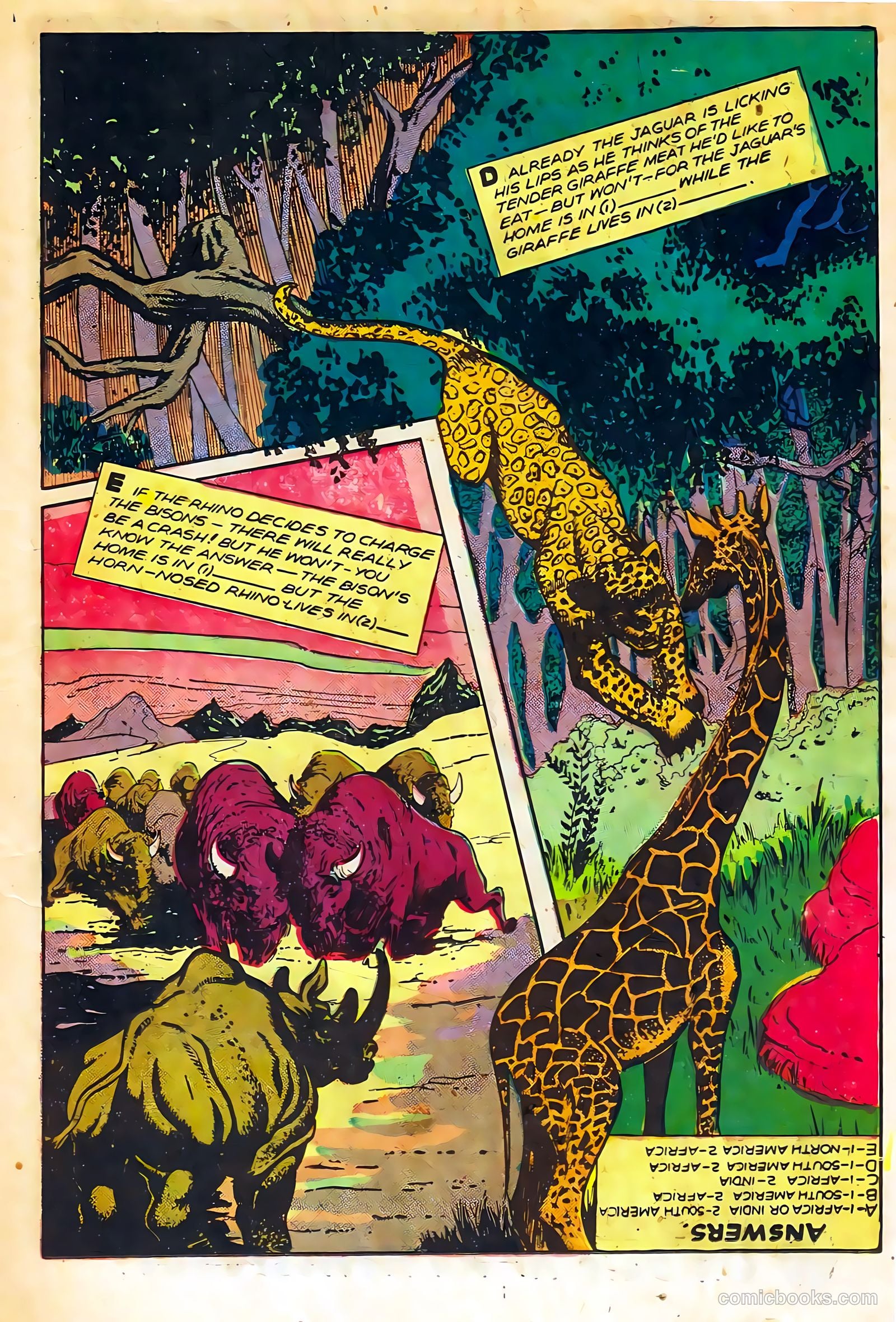 Sheena, Queen of the Jungle #11 — page 15 of 36