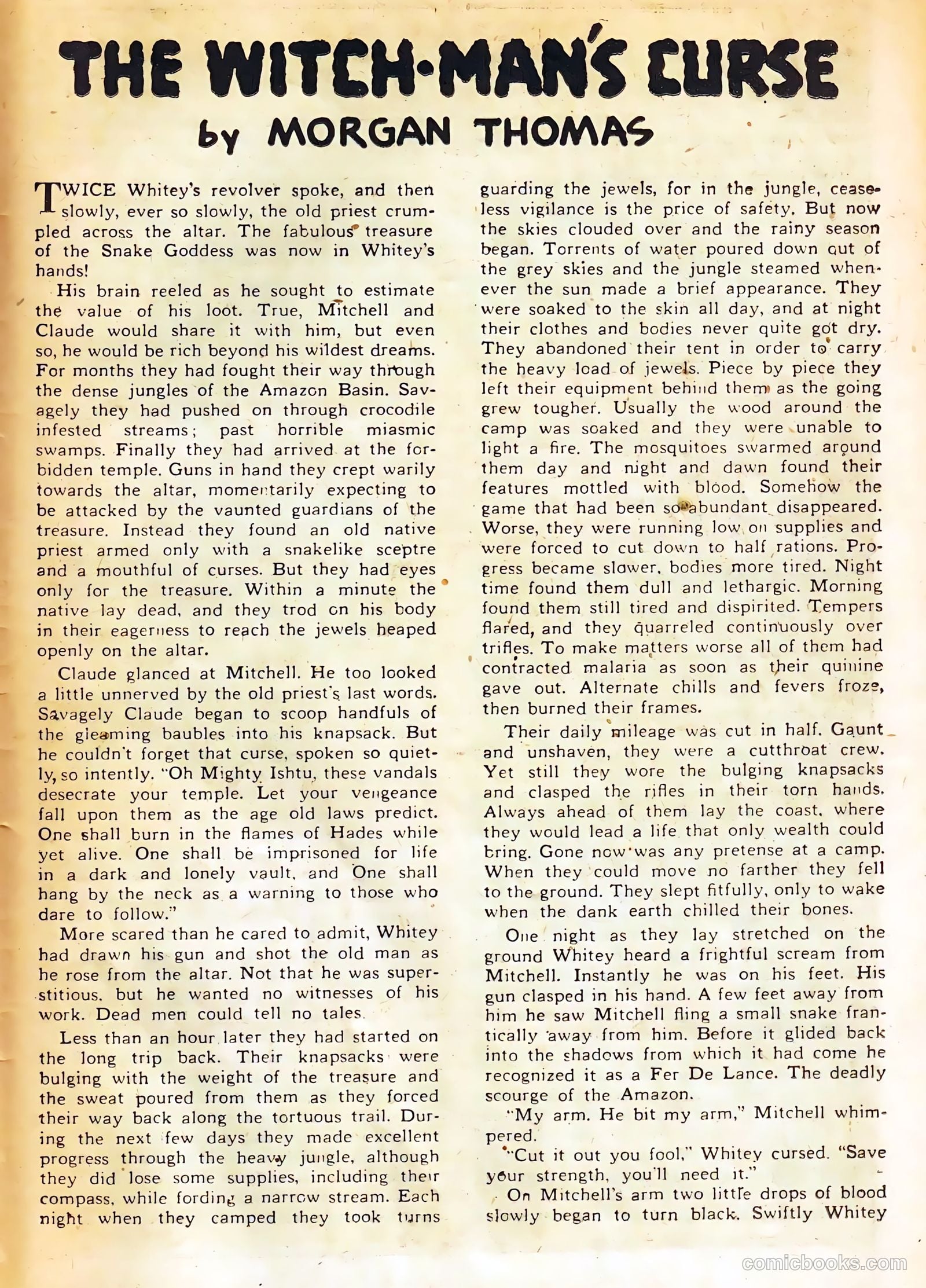 Sheena, Queen of the Jungle #11 — page 25 of 36