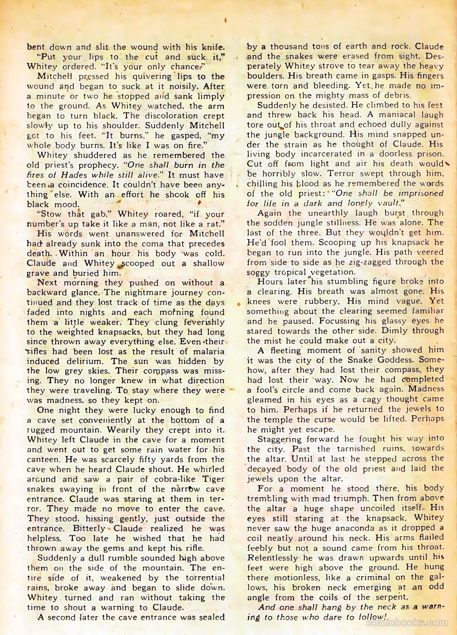 Sheena, Queen of the Jungle #11 — page 26 of 36