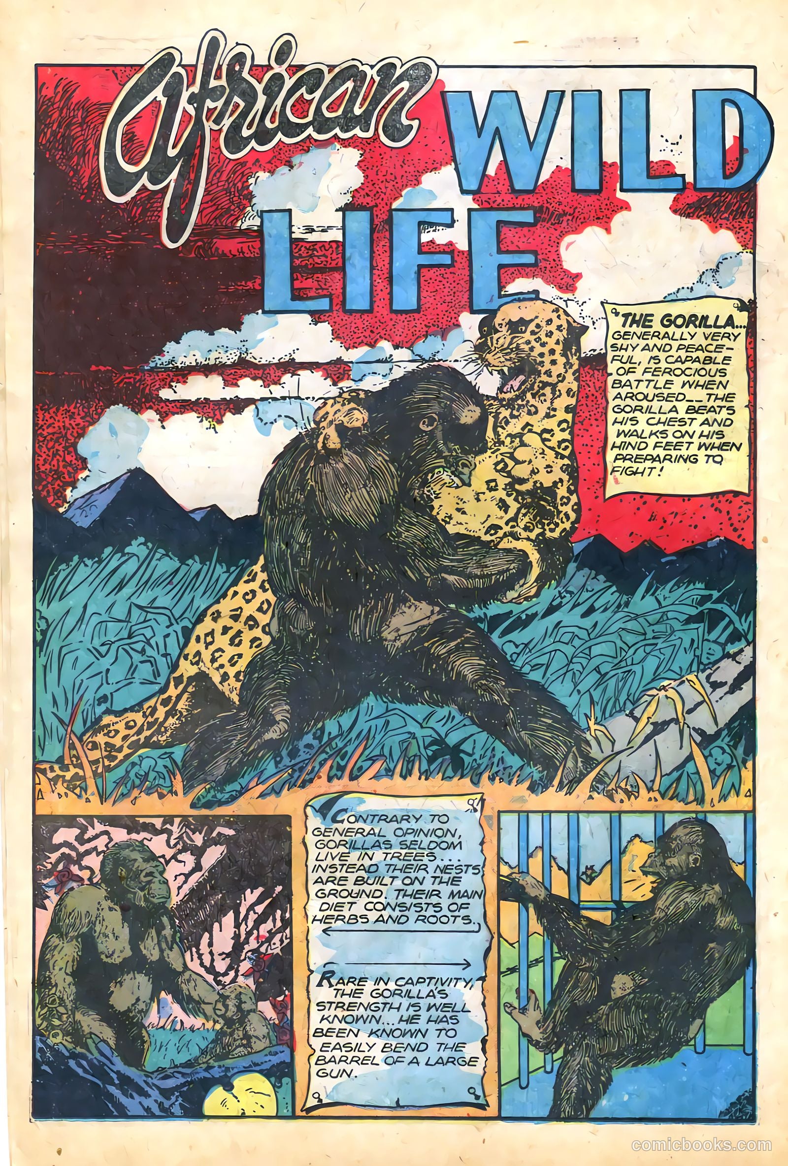 Sheena, Queen of the Jungle #12 — page 14 of 36