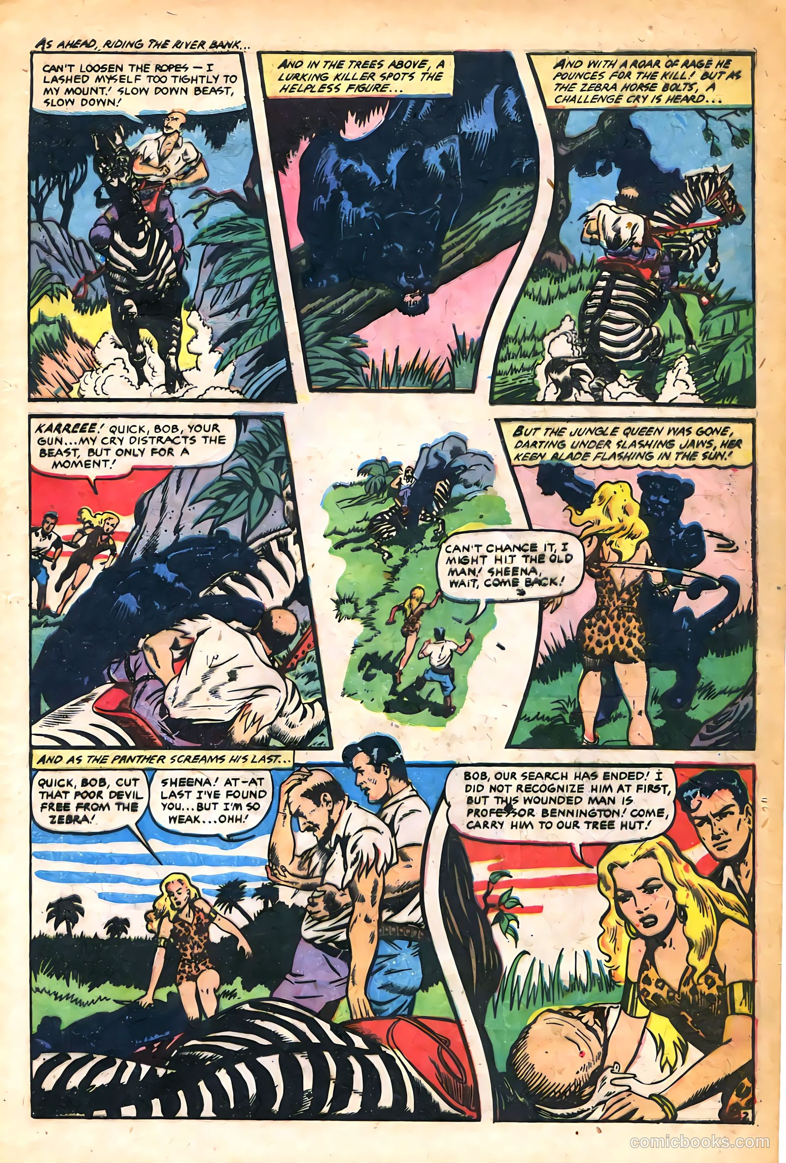 Sheena, Queen of the Jungle #14 — page 5 of 36