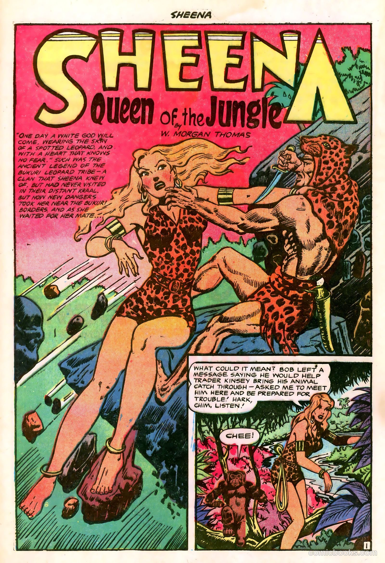 Sheena, Queen of the Jungle #15 — page 5 of 37