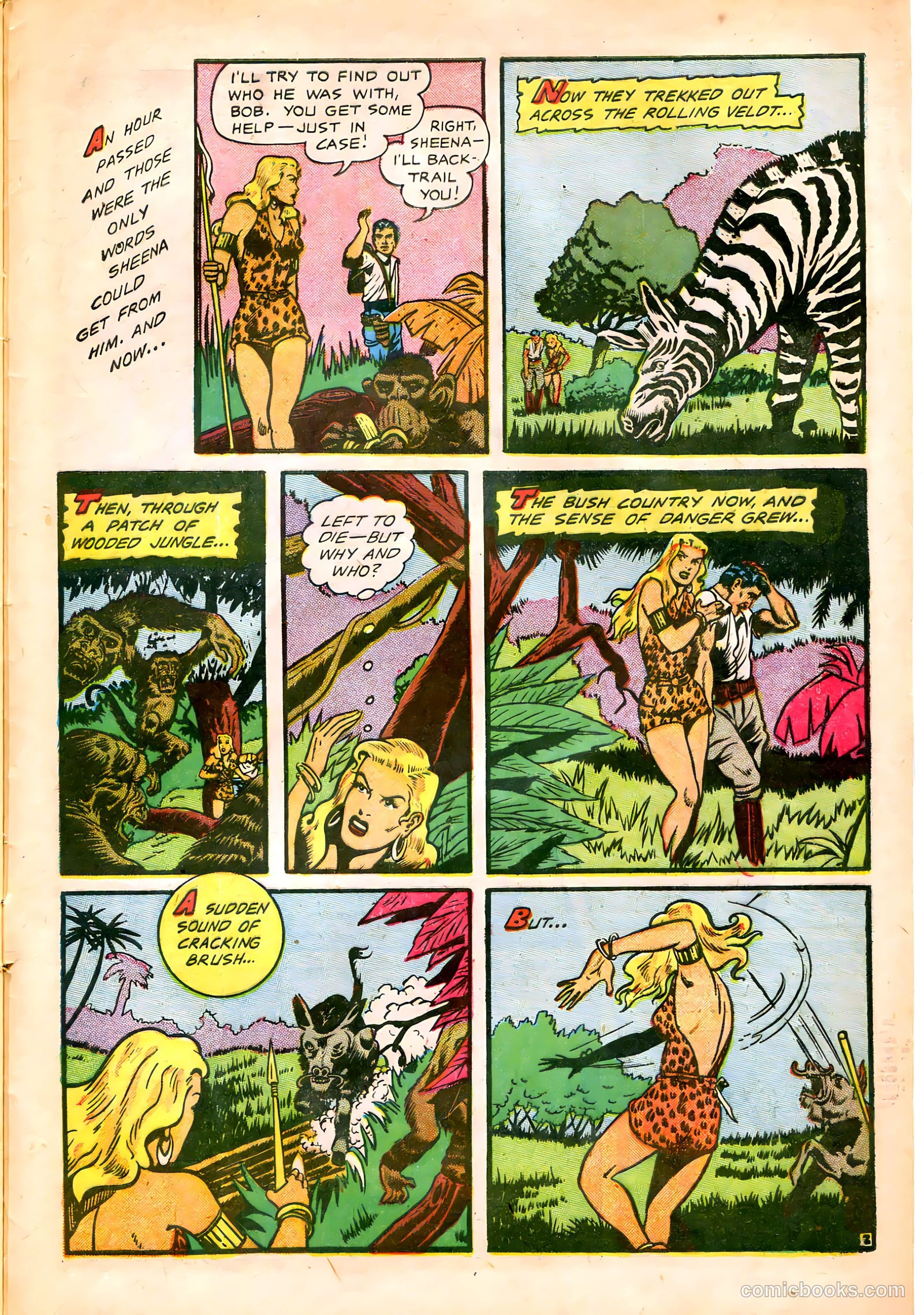 Sheena, Queen of the Jungle #16 — page 29 of 36
