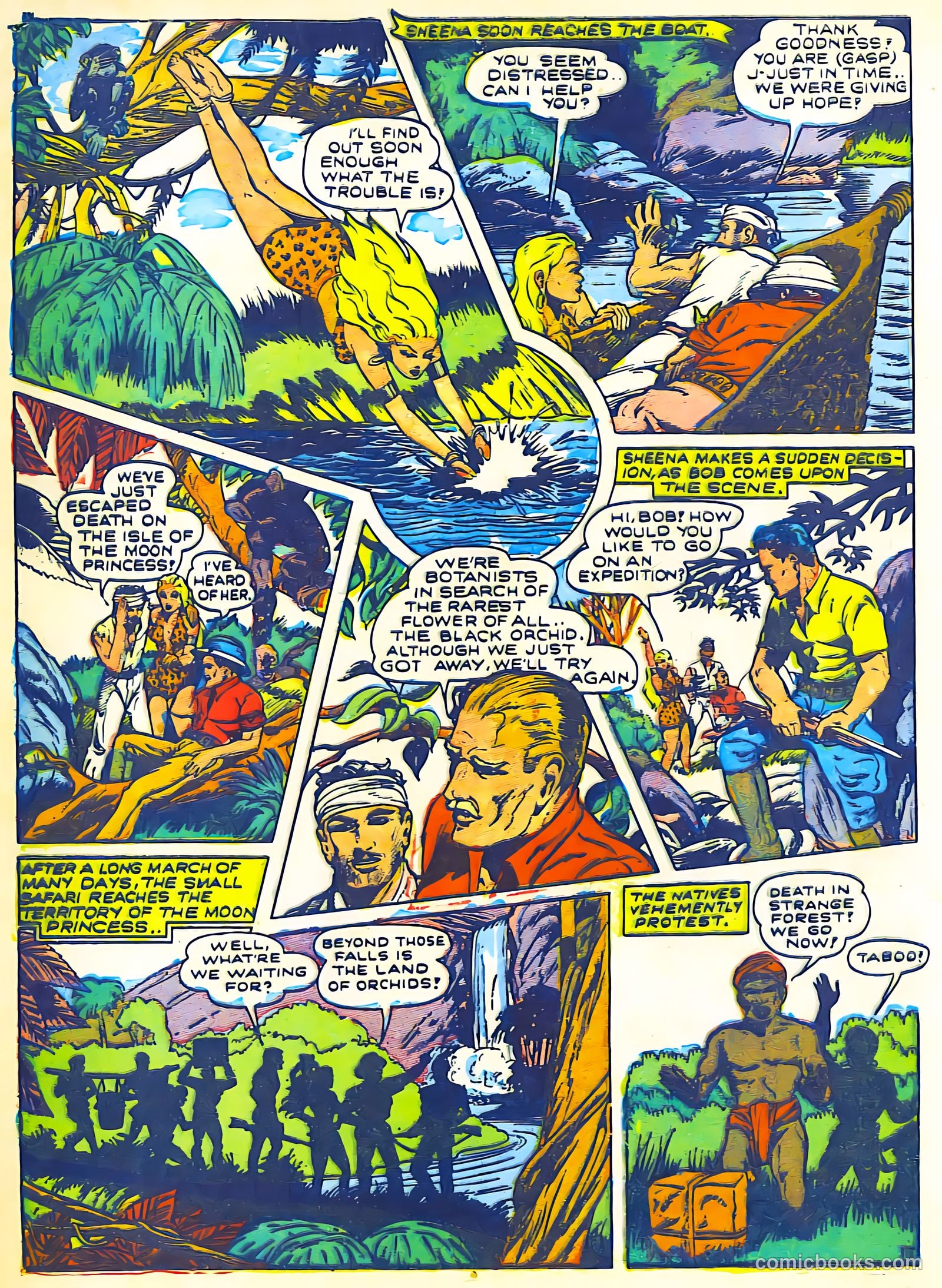 Sheena, Queen of the Jungle #2 — page 4 of 68