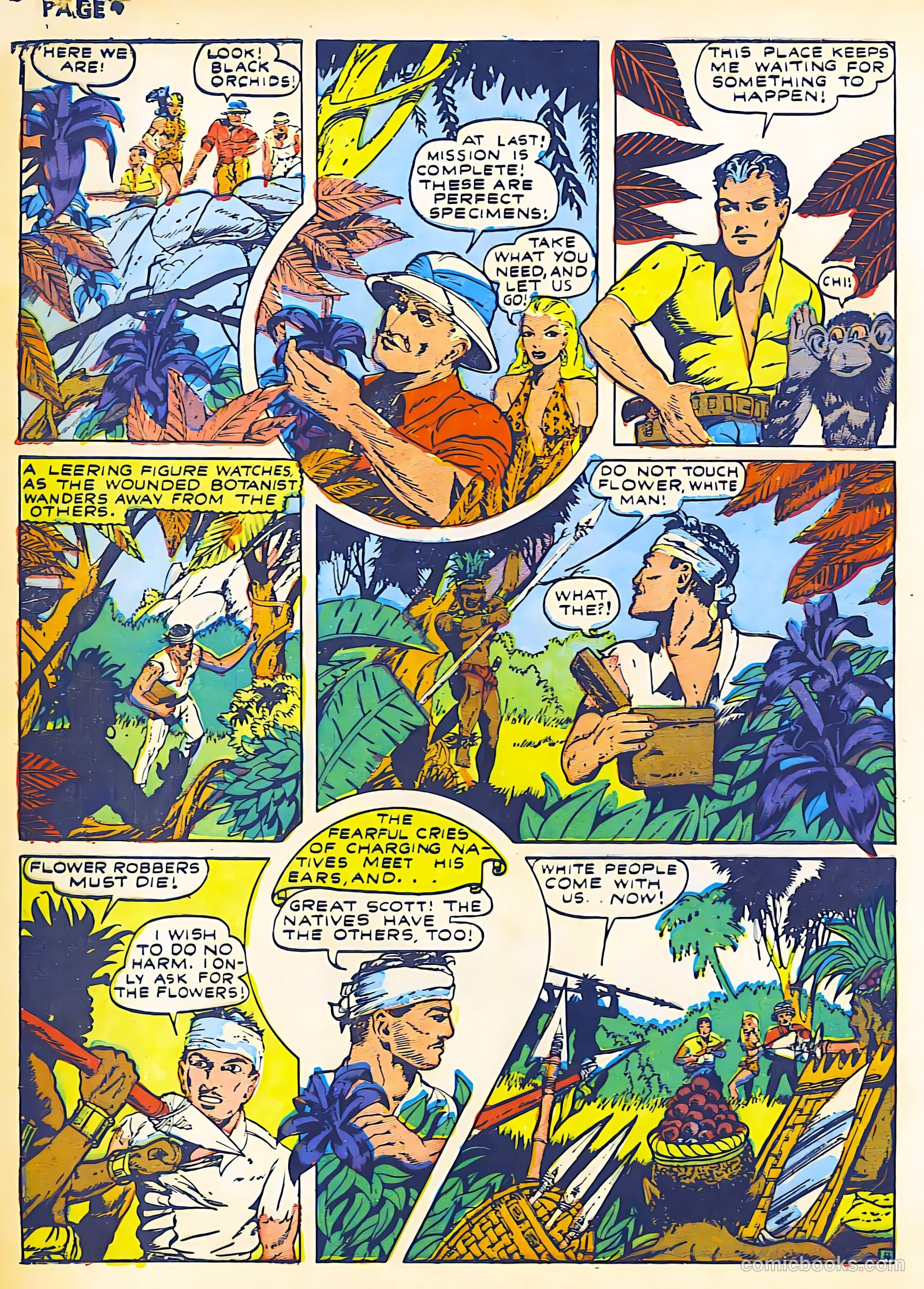 Sheena, Queen of the Jungle #2 — page 6 of 68
