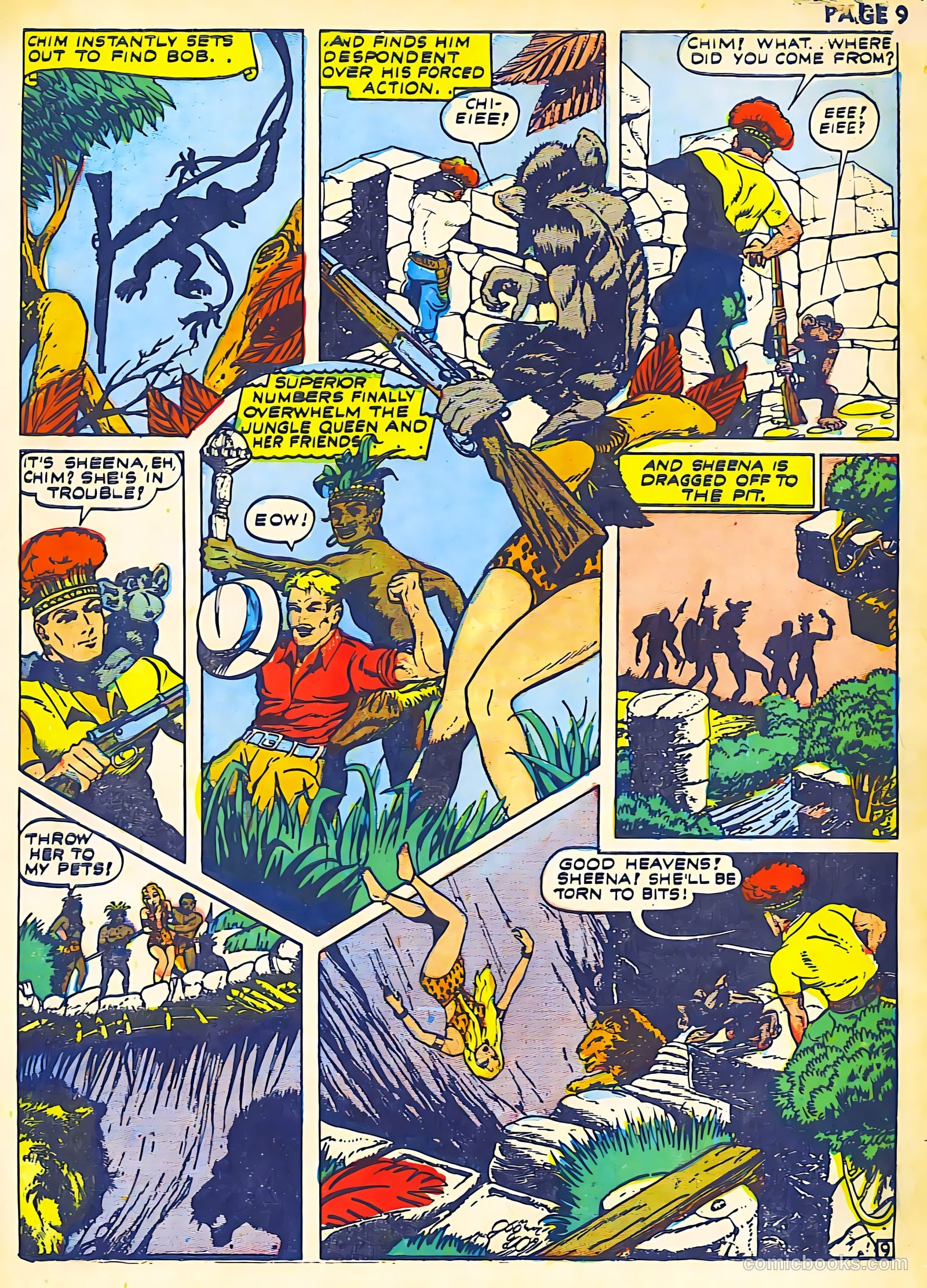 Sheena, Queen of the Jungle #2 — page 11 of 68