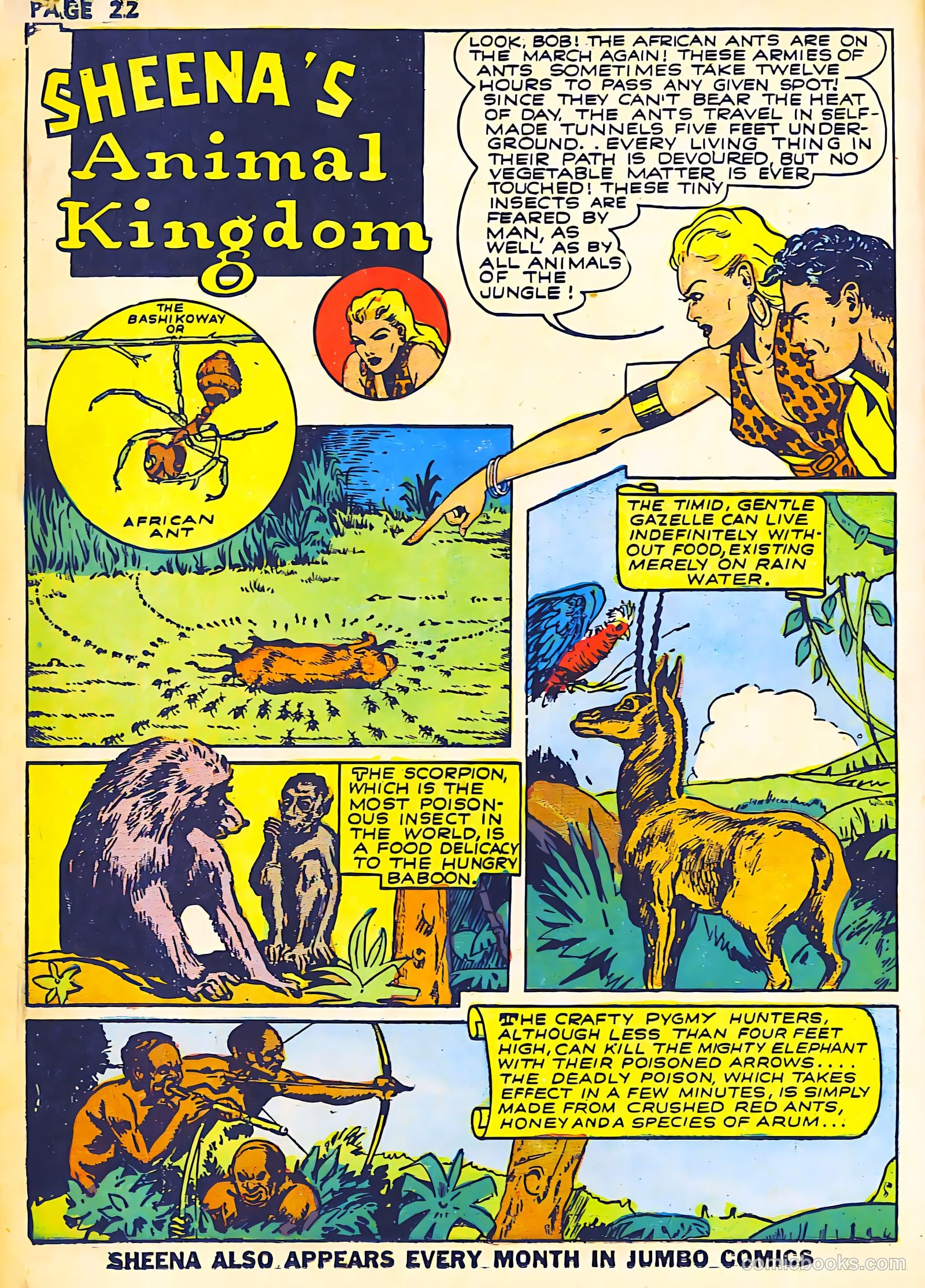 Sheena, Queen of the Jungle #2 — page 24 of 68
