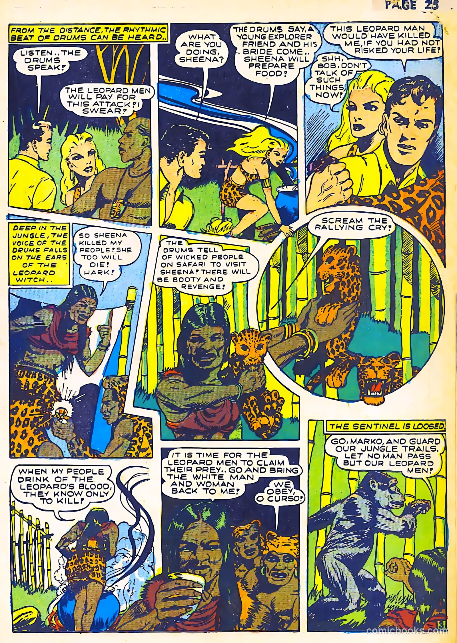 Sheena, Queen of the Jungle #2 — page 27 of 68