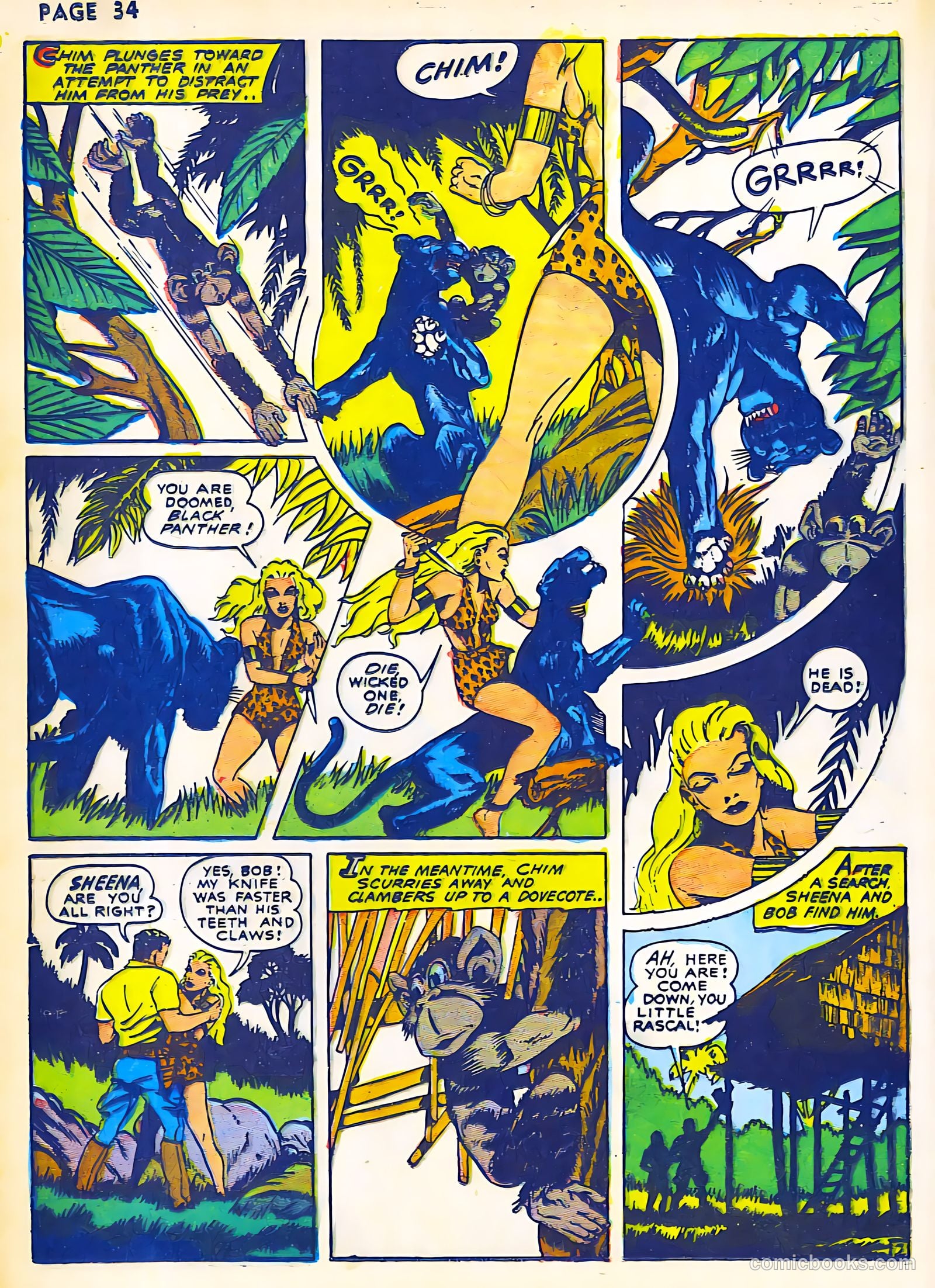 Sheena, Queen of the Jungle #2 — page 36 of 68