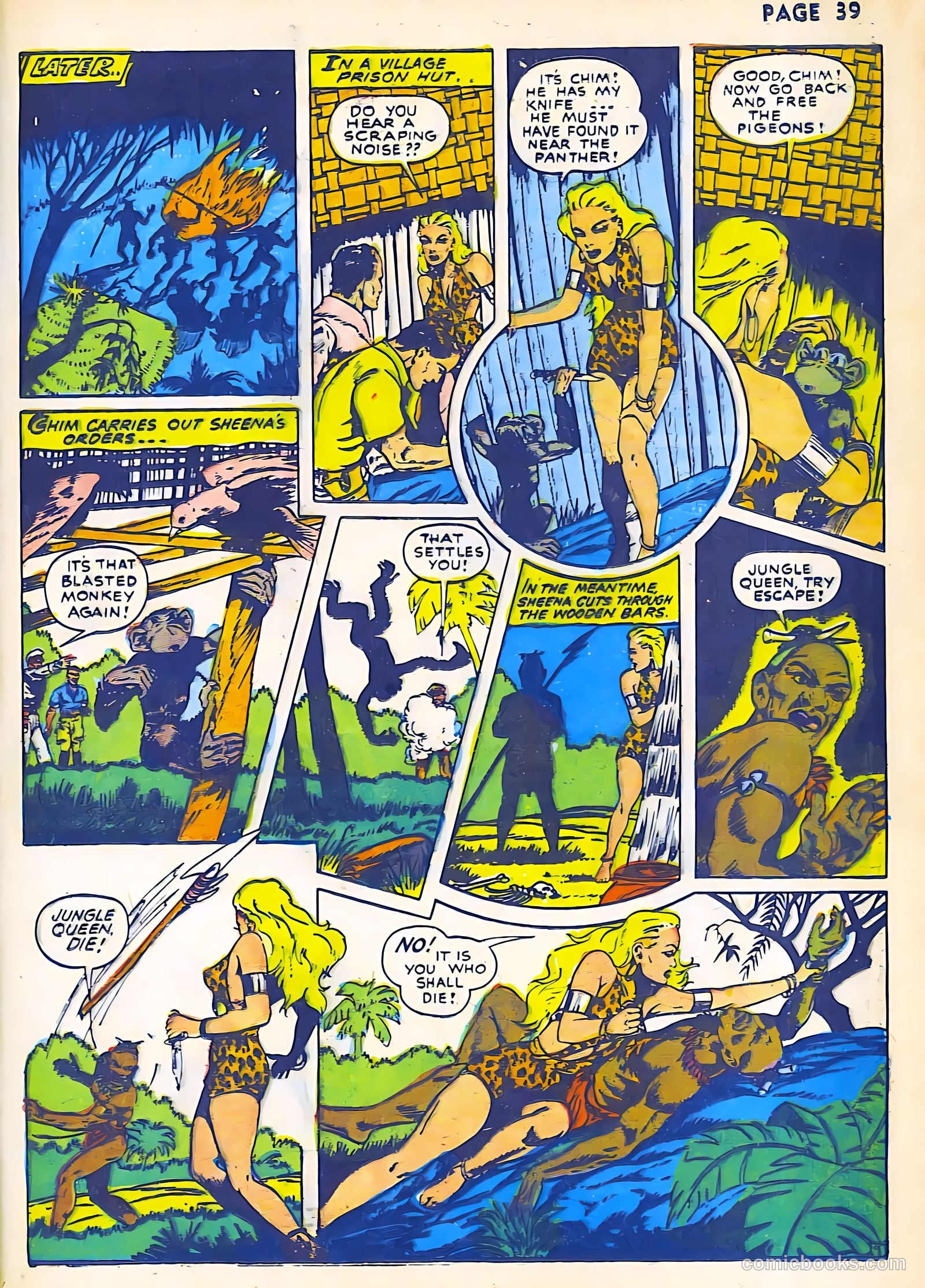 Sheena, Queen of the Jungle #2 — page 41 of 68