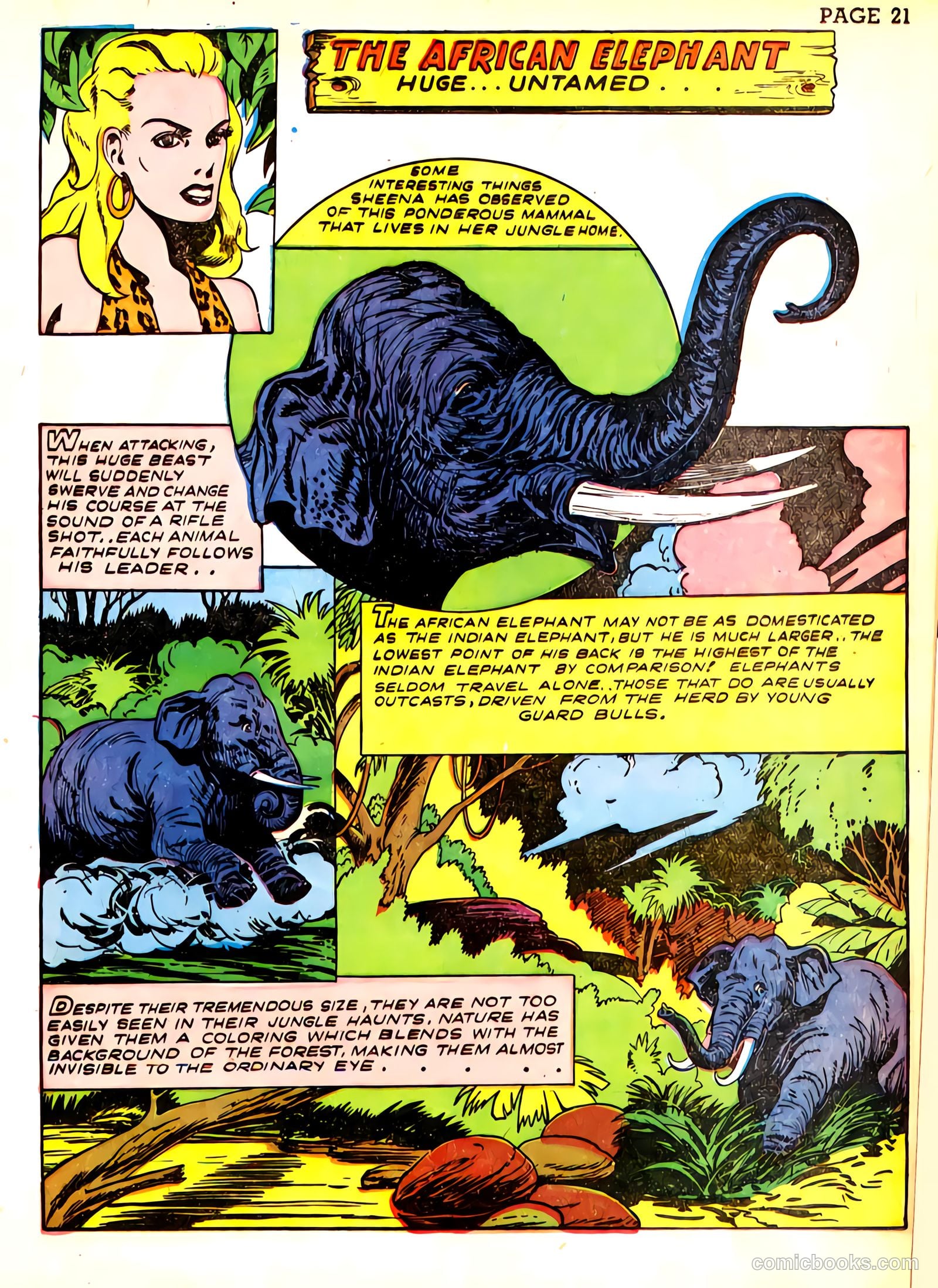 Sheena, Queen of the Jungle #3 — page 24 of 70