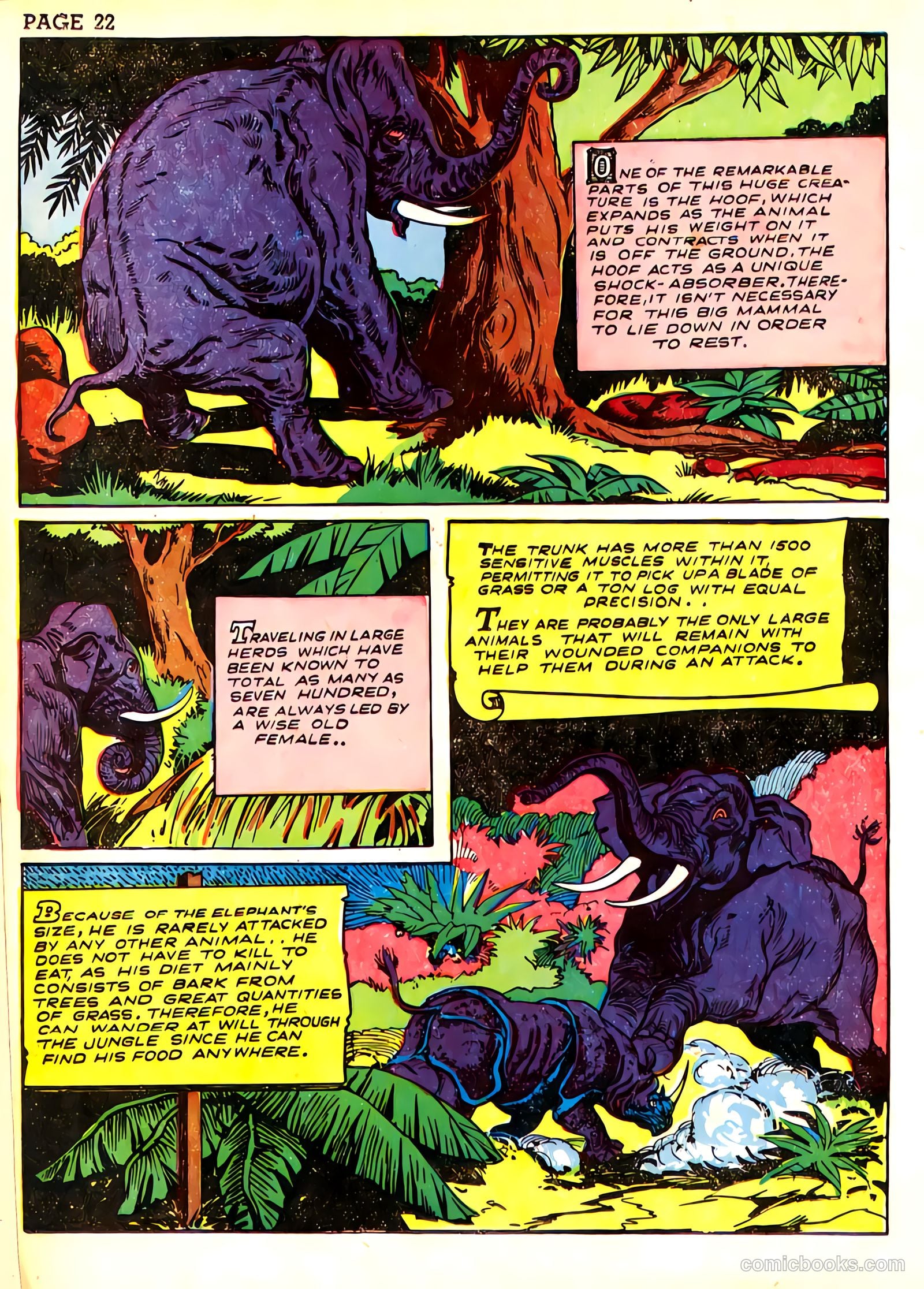 Sheena, Queen of the Jungle #3 — page 25 of 70