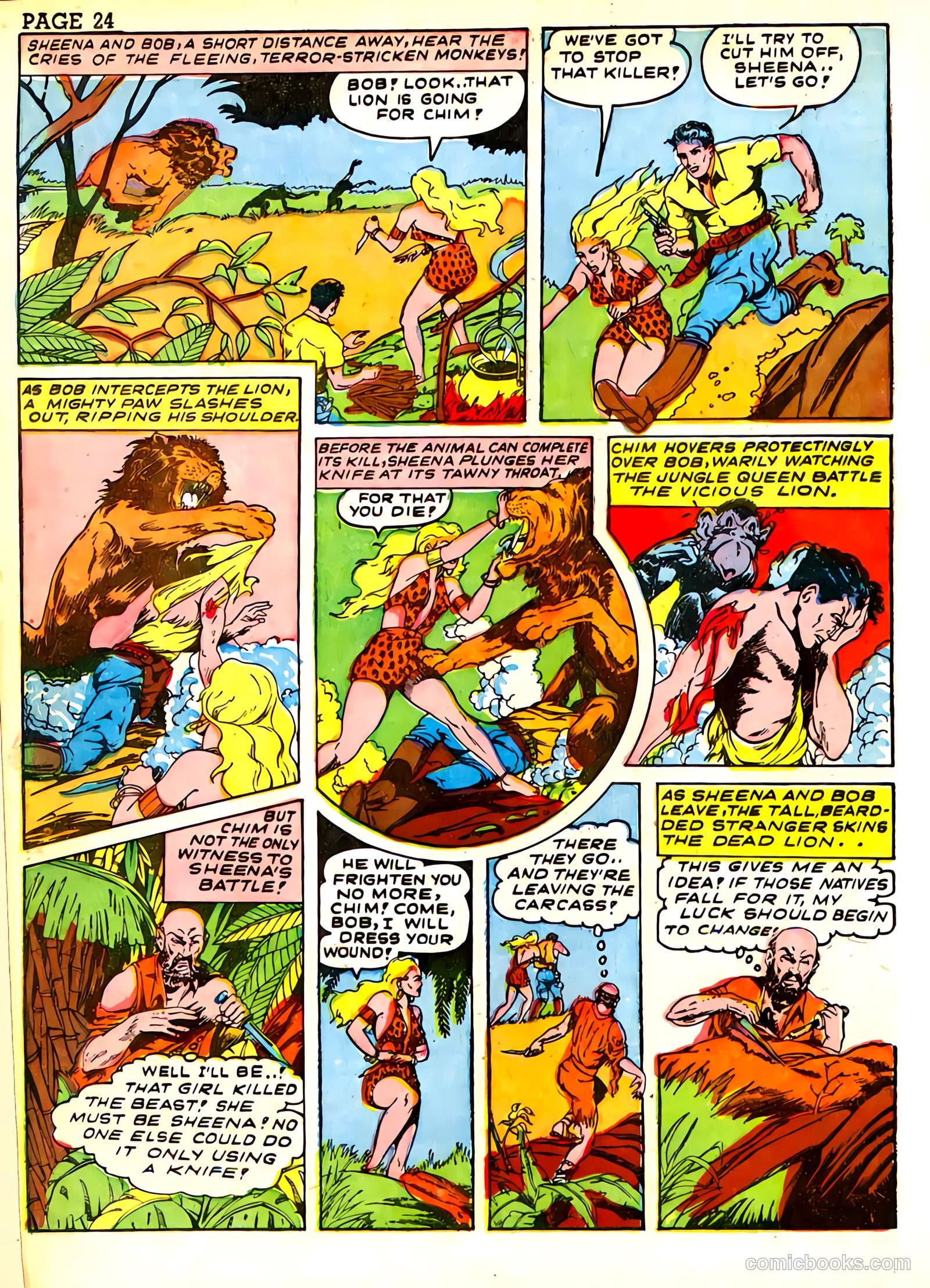 Sheena, Queen of the Jungle #3 — page 27 of 70