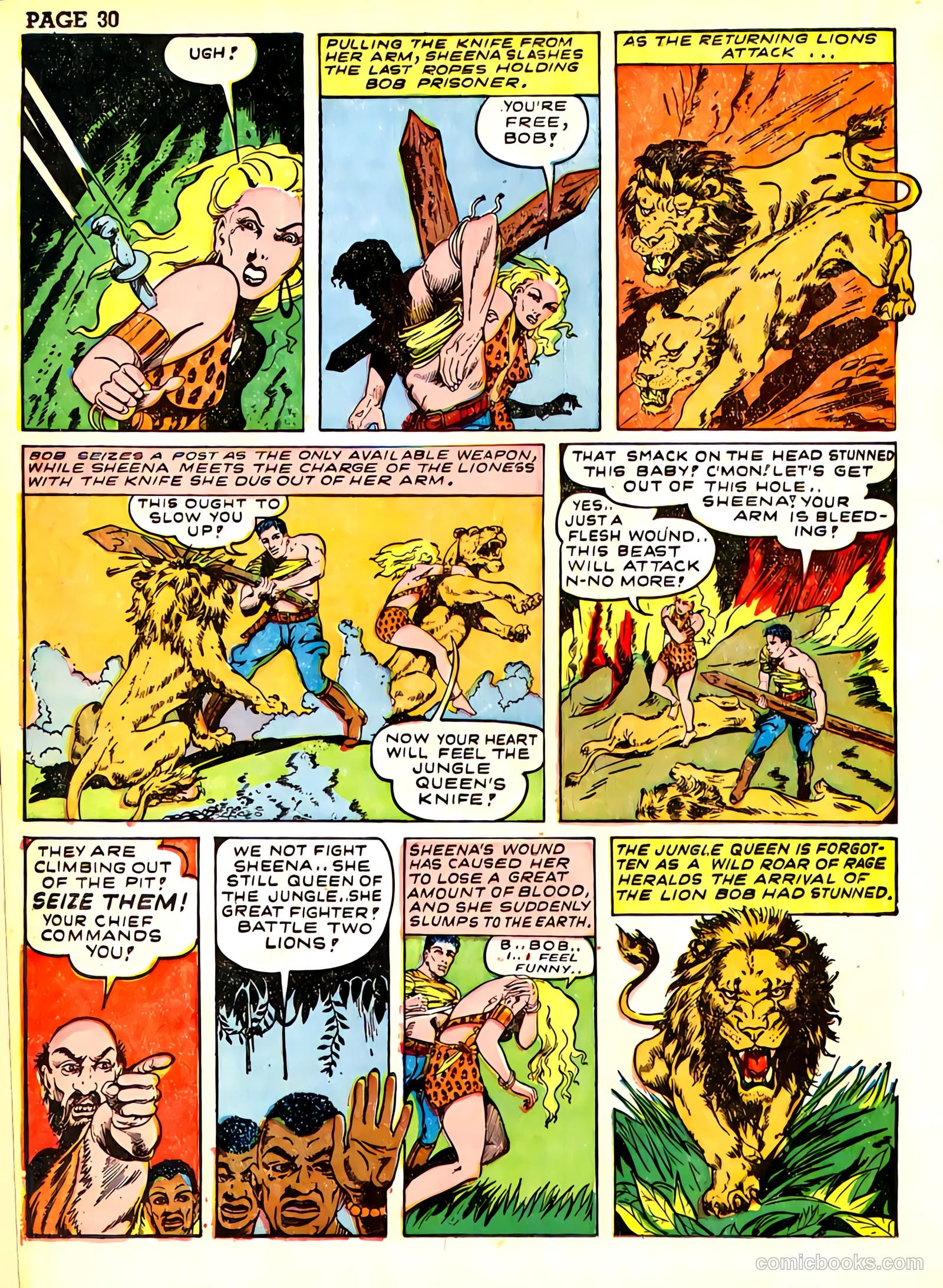 Sheena, Queen of the Jungle #3 — page 33 of 70