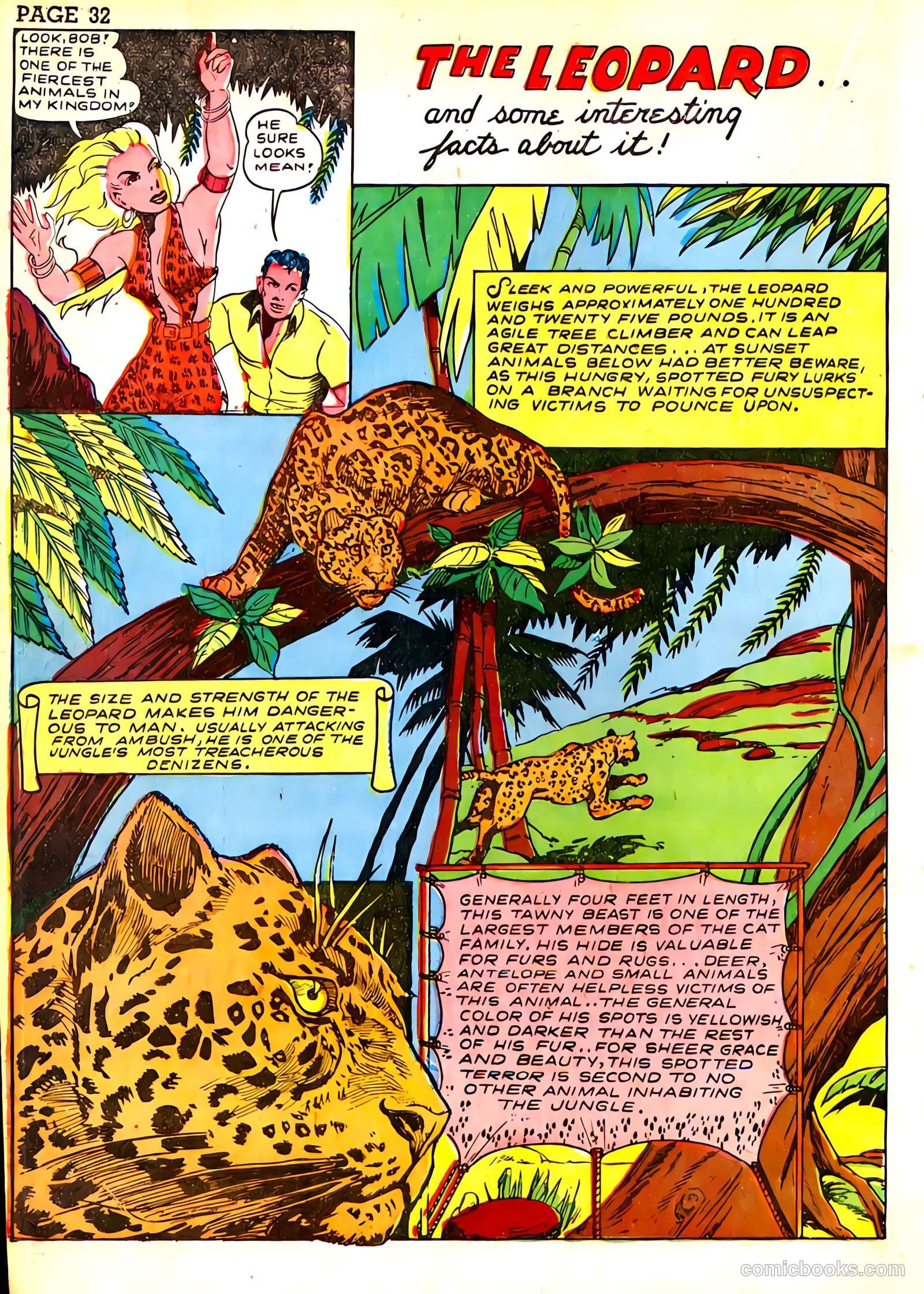 Sheena, Queen of the Jungle #3 — page 35 of 70