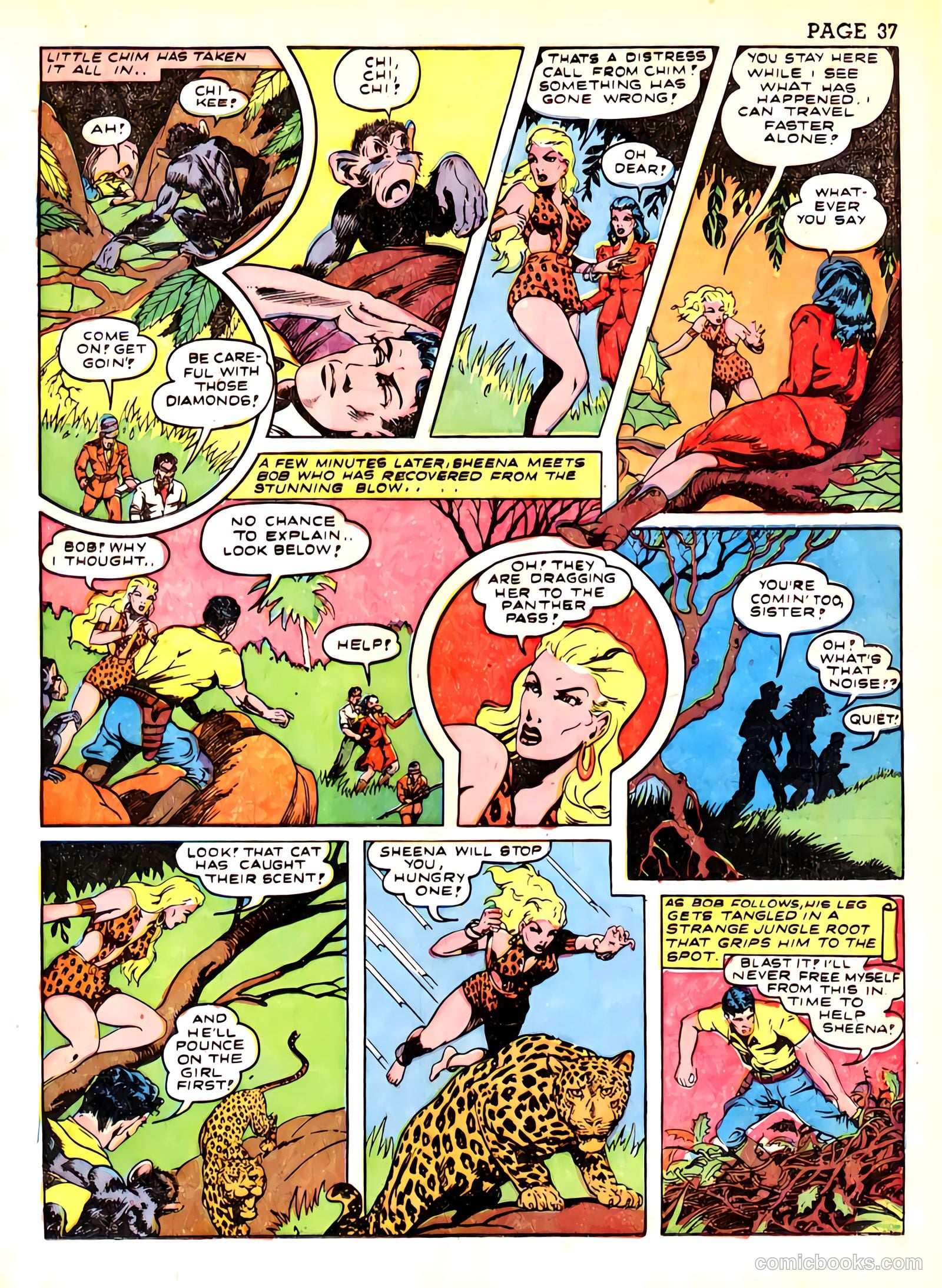 Sheena, Queen of the Jungle #3 — page 40 of 70