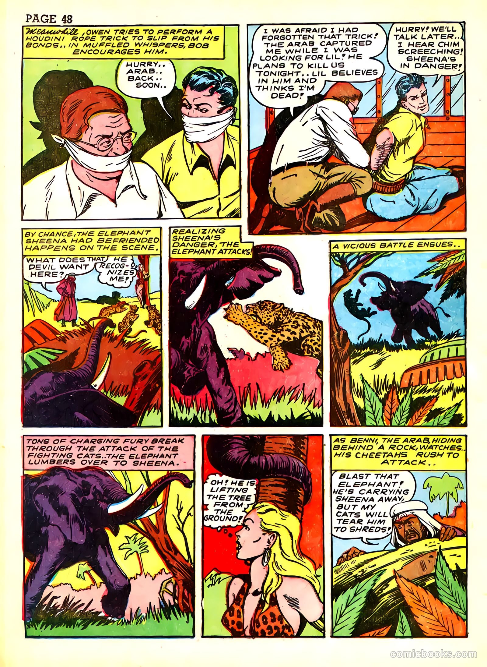 Sheena, Queen of the Jungle #3 — page 51 of 70